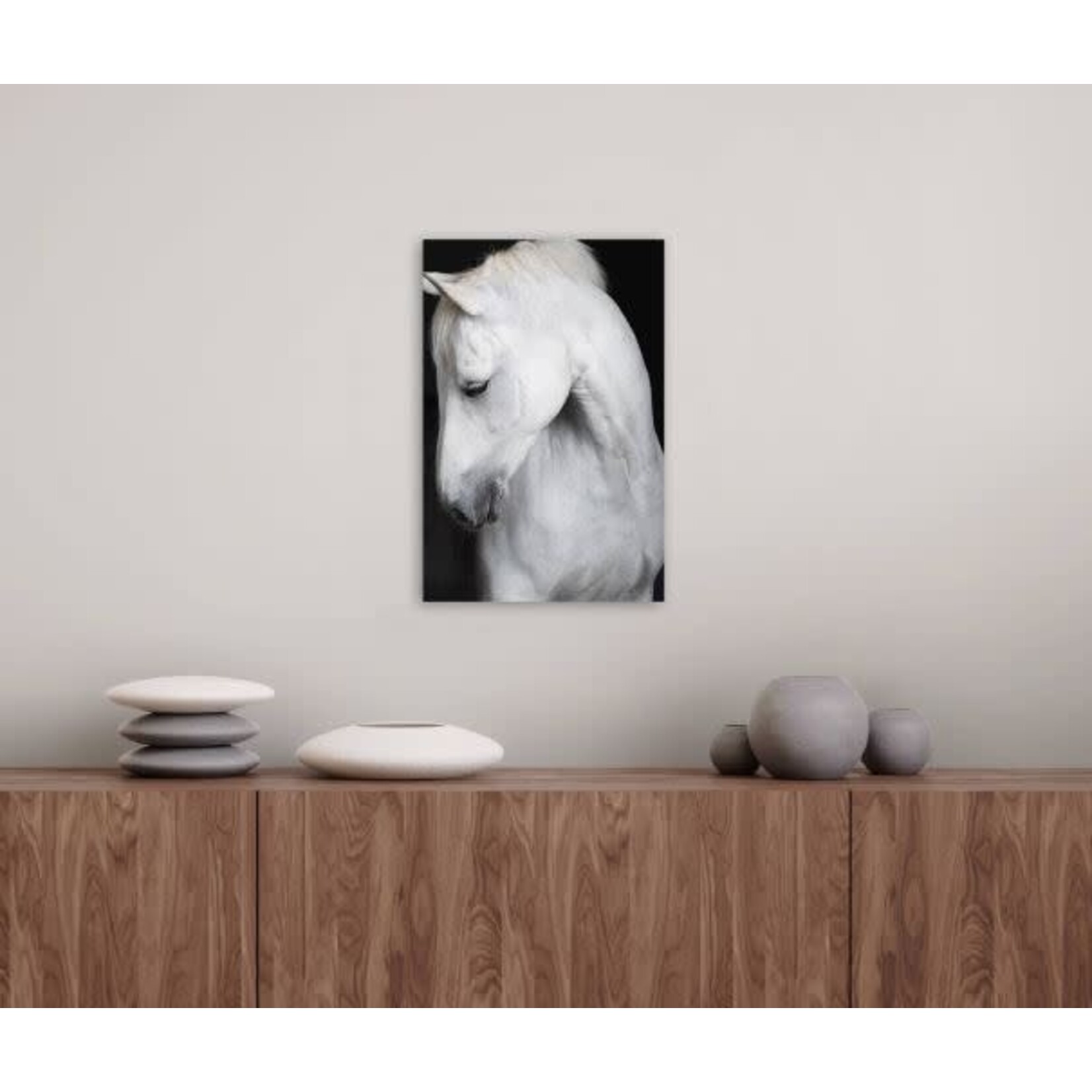 LDN collections Celestia Framed Artwork Horse