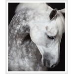 LDN collections Harmony Framed Artwork Horse