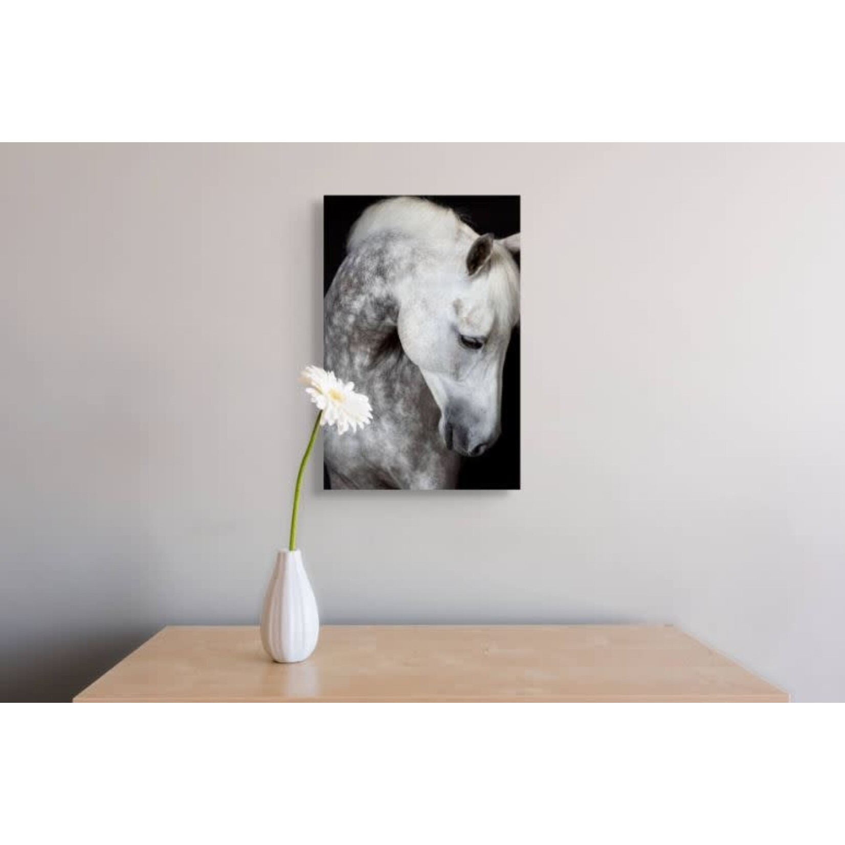 LDN collections Harmony Framed Artwork Horse