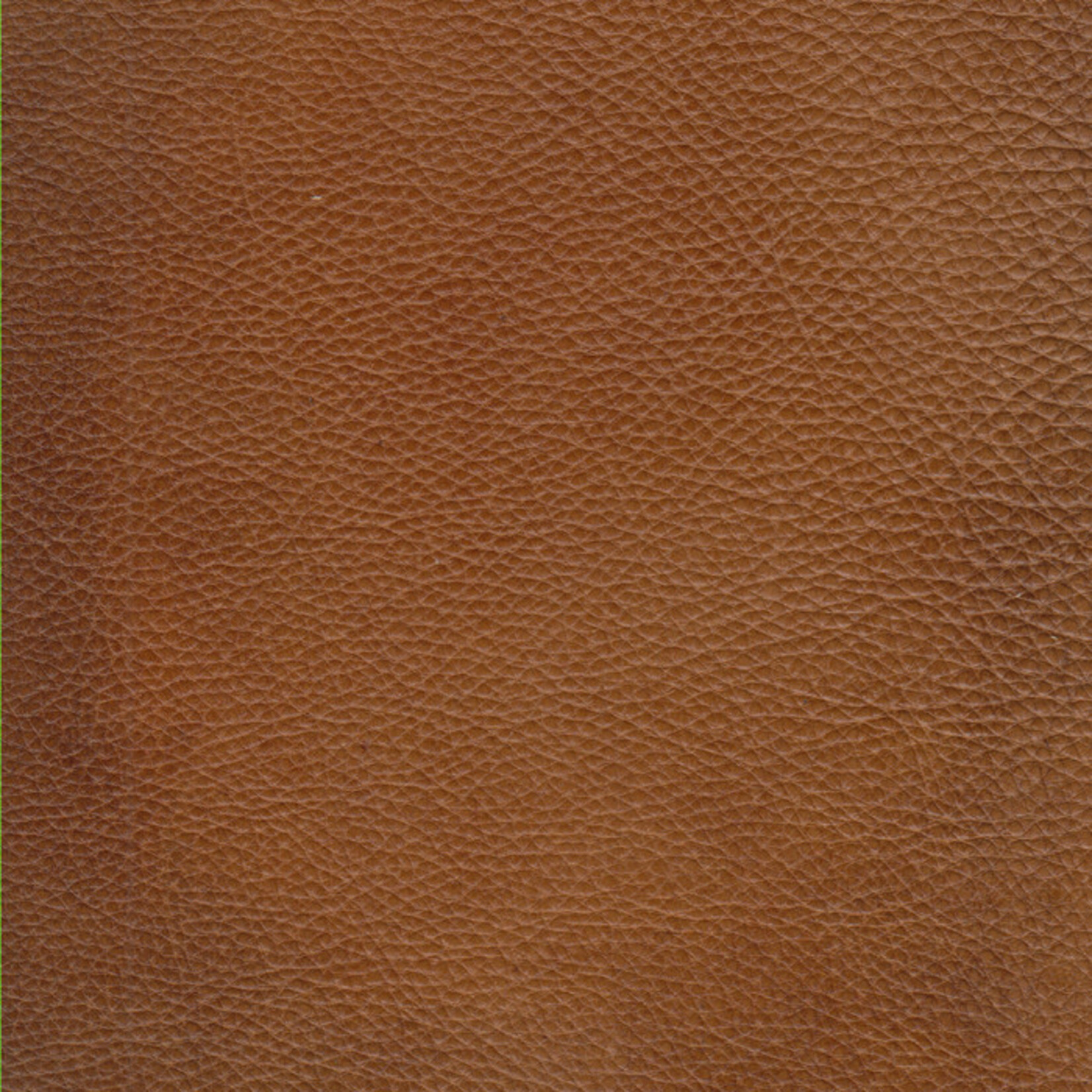 Hancock & Moore LLC Tavernwood Sofa Hyde Park Tan Burnished Leather