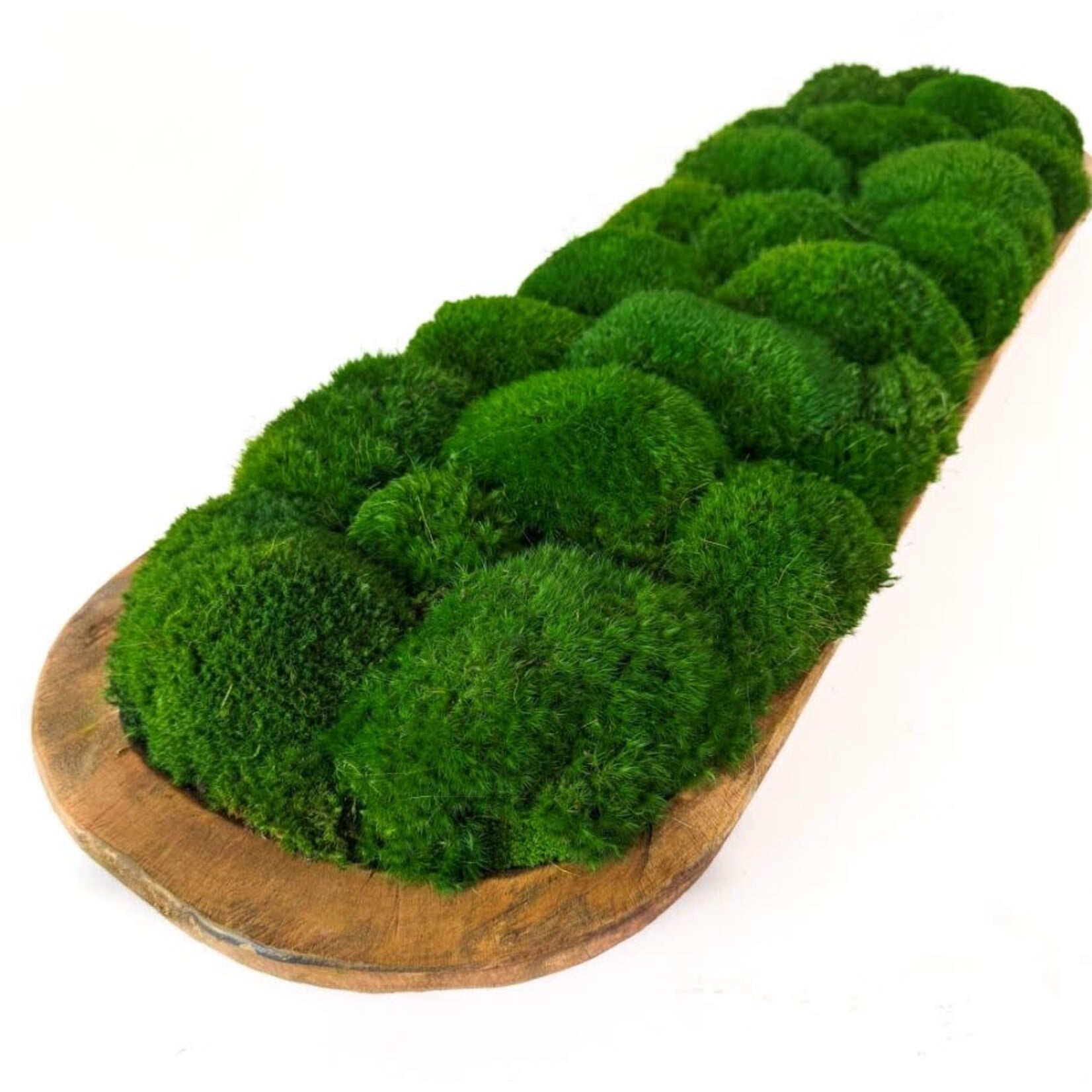 Forever Green Art Preserved Mossed Large Carved Wooden Long Bowl