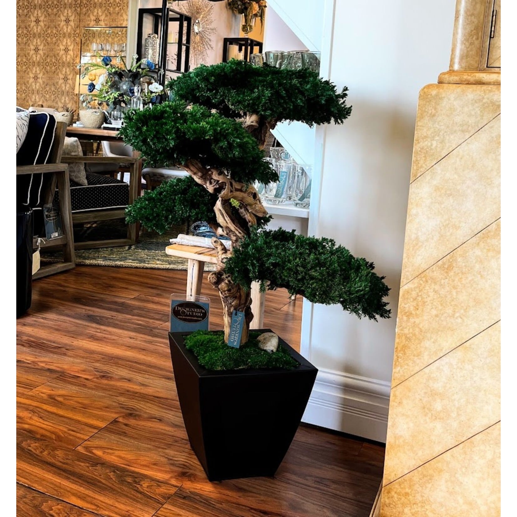 Forever Green Art Preserved Monterey Quad Bonsai in Black Azar Planter 42"