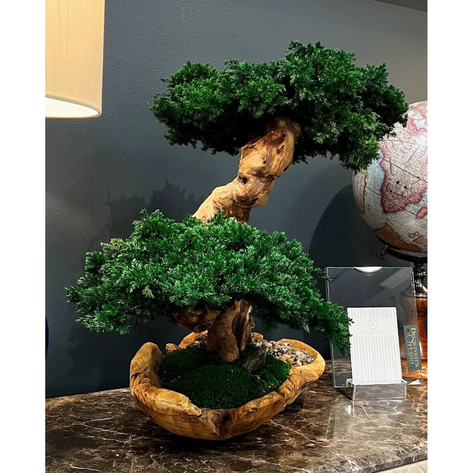 Forever Green Art Preserved Double Monterey Bonsai in Live Edge Bowl