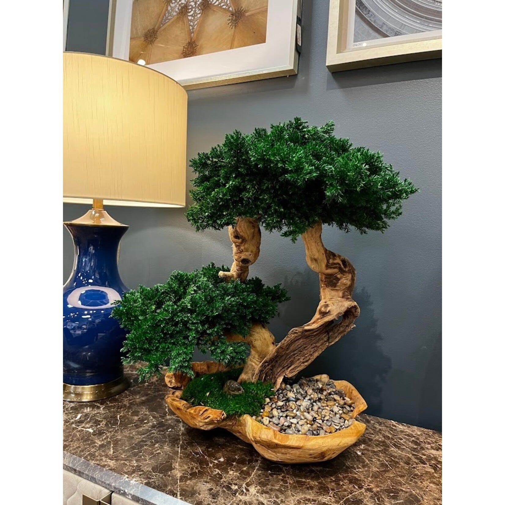 Forever Green Art Preserved Double Monterey Bonsai in Live Edge Bowl