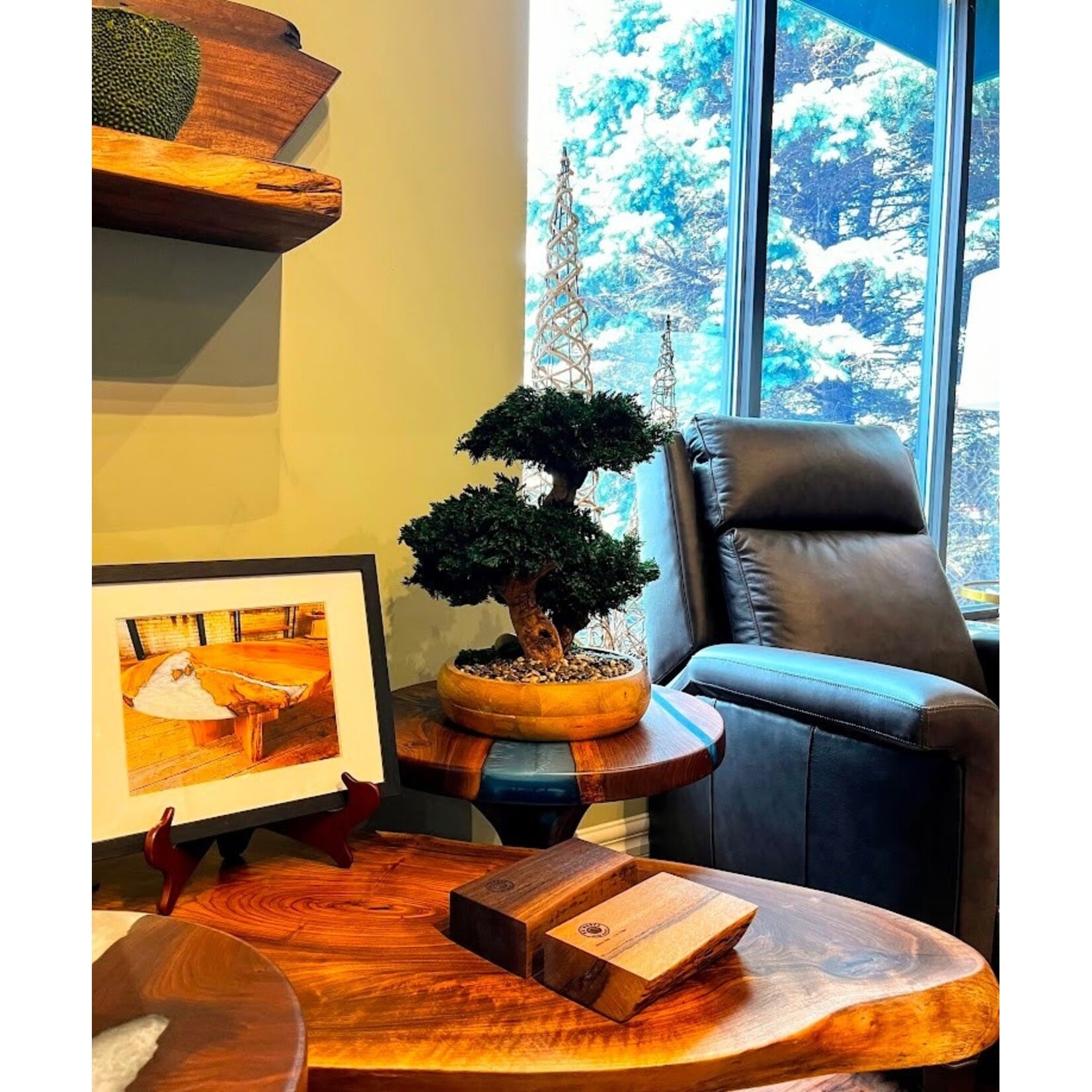 Forever Green Art Triple Monterey Bonsai Preserved Tree in Wooden Bowl