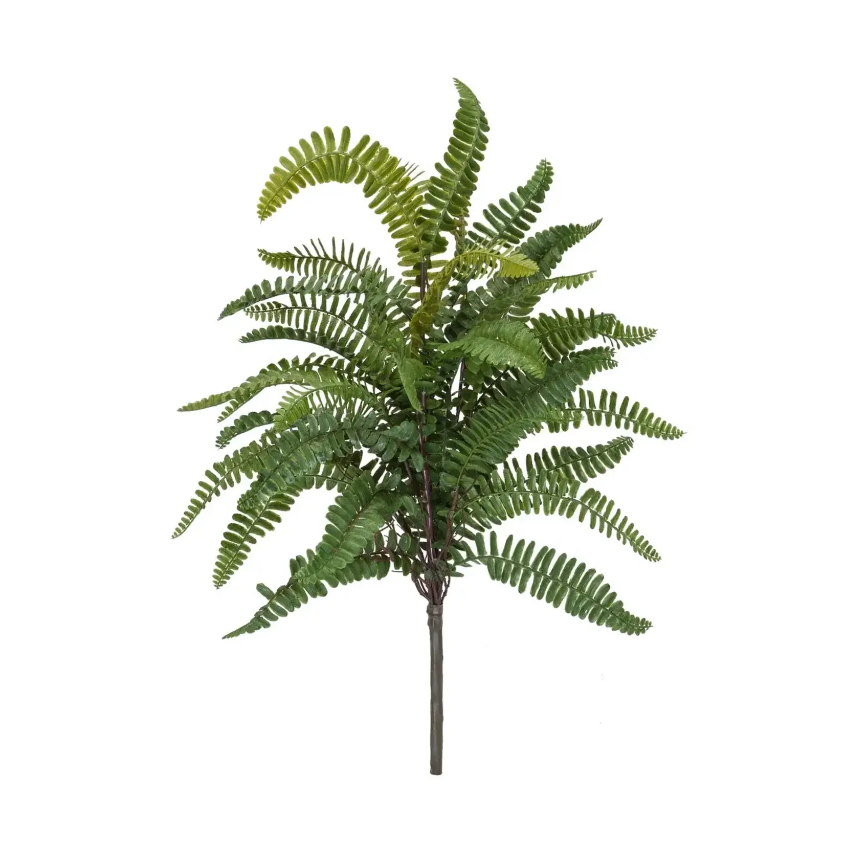 Winward Home Sword Fern Faux Bush 18" H