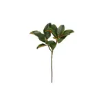 Winward Home Magnolia Leaf  Faux Stem 25" Green
