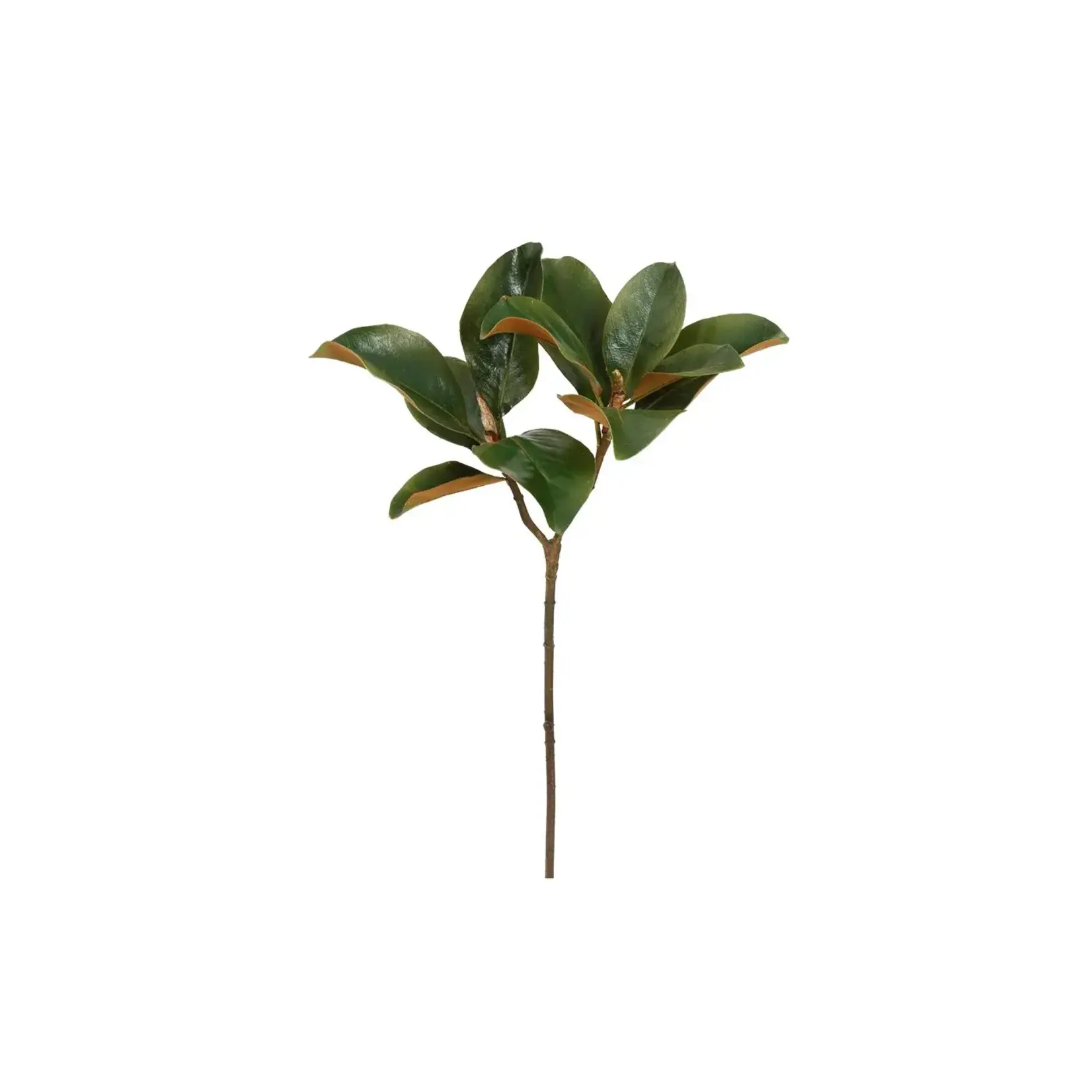 Winward Home Magnolia Leaf  Faux Stem 25" Green