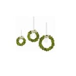 Winward Home Preserved Boxwood Wreath with Ribbon