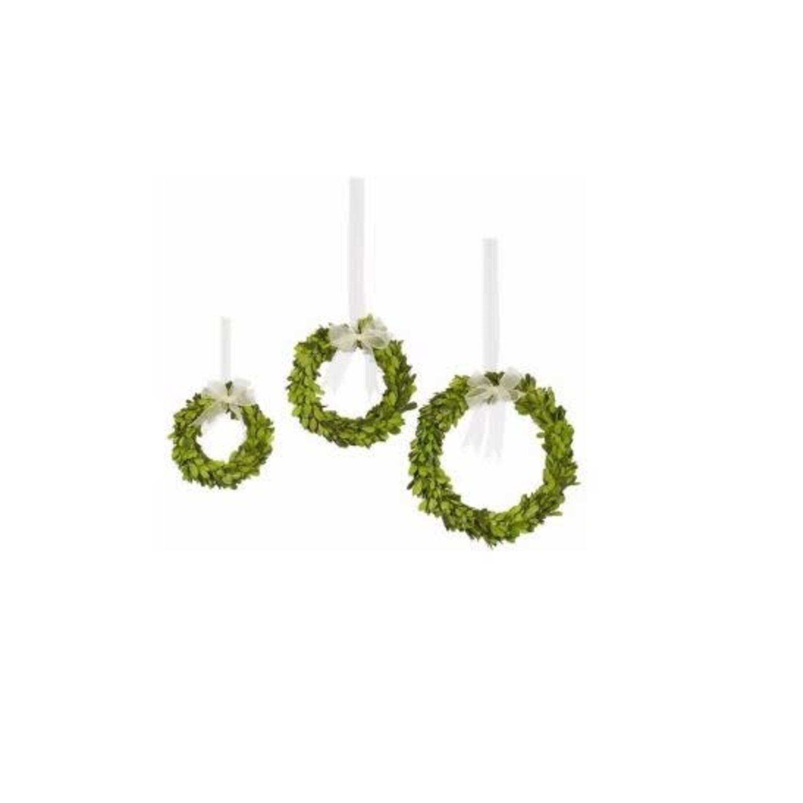 Winward Home Preserved Boxwood Wreath with Ribbon