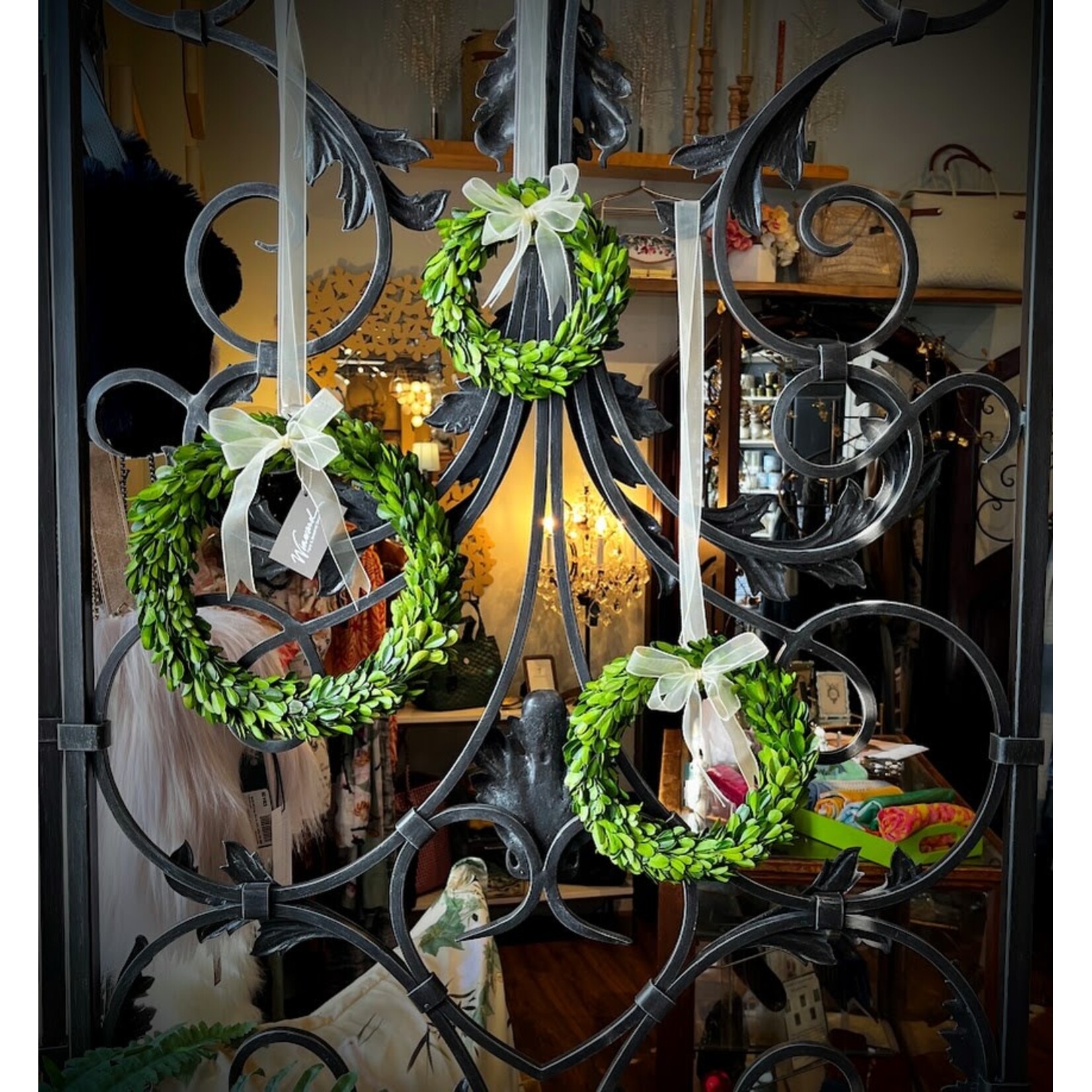 Winward Home Preserved Boxwood Wreath with Ribbon