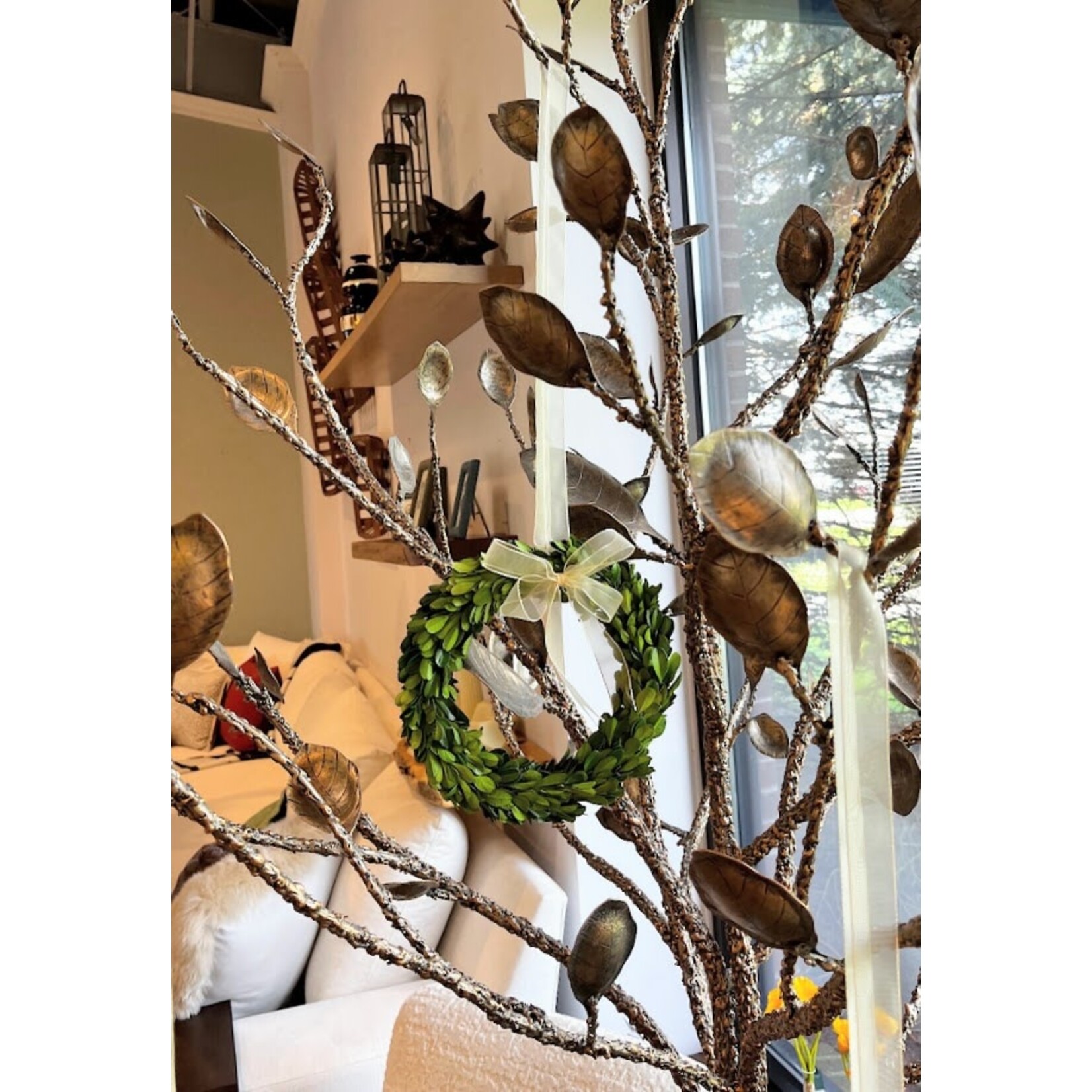Winward Home Preserved Boxwood Wreath with Ribbon