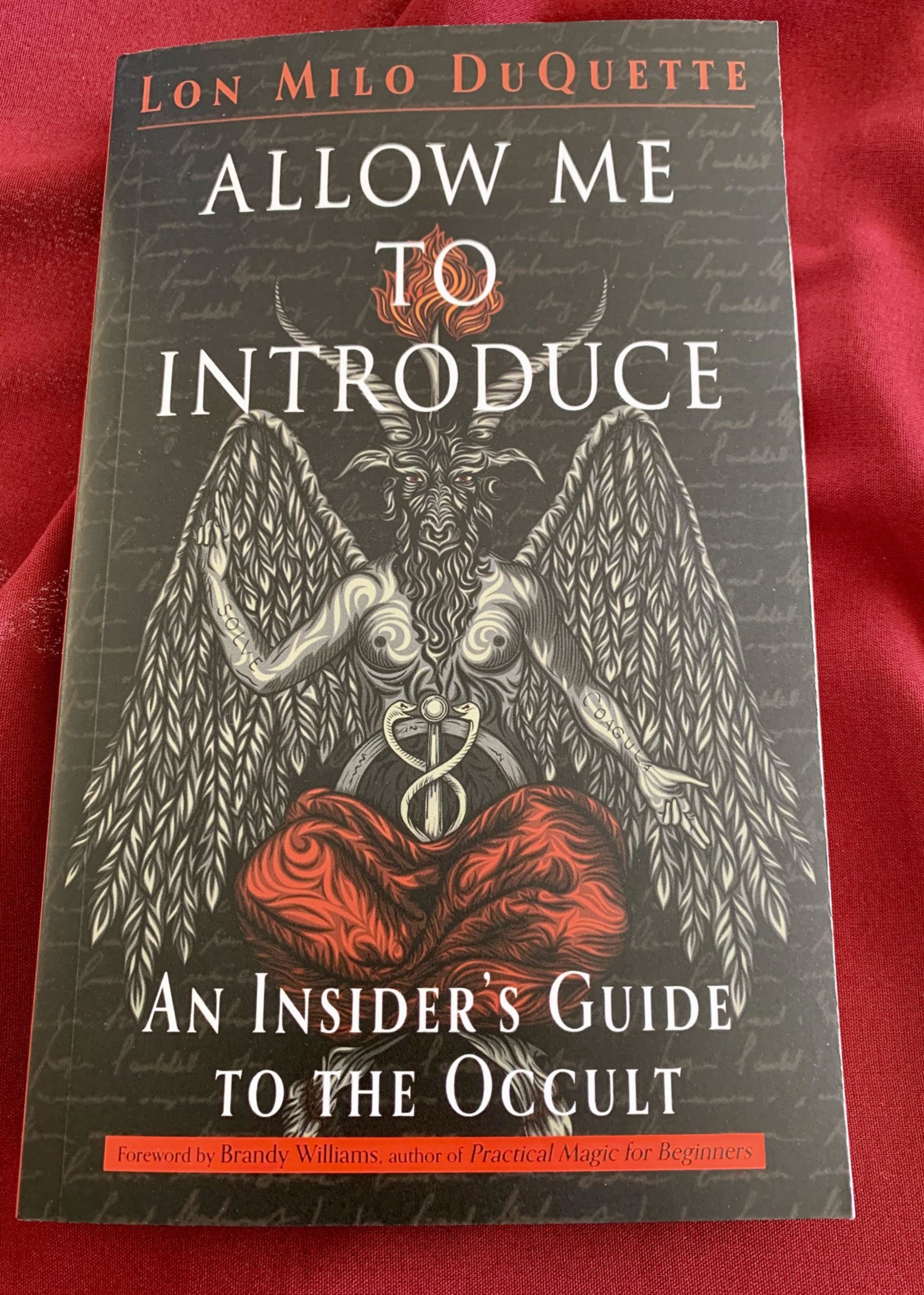 Allow Me to Introduce An Insider's Guide to the Occult