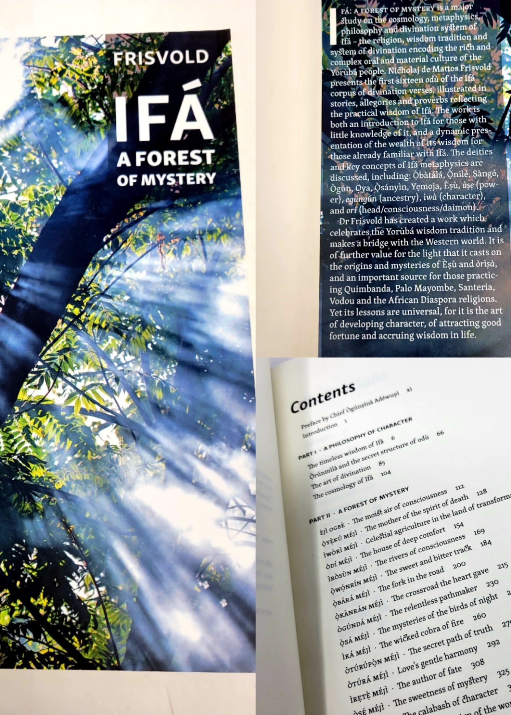 Ifá: A Forest of Mystery - Nicholaj de Mattos Frisvold