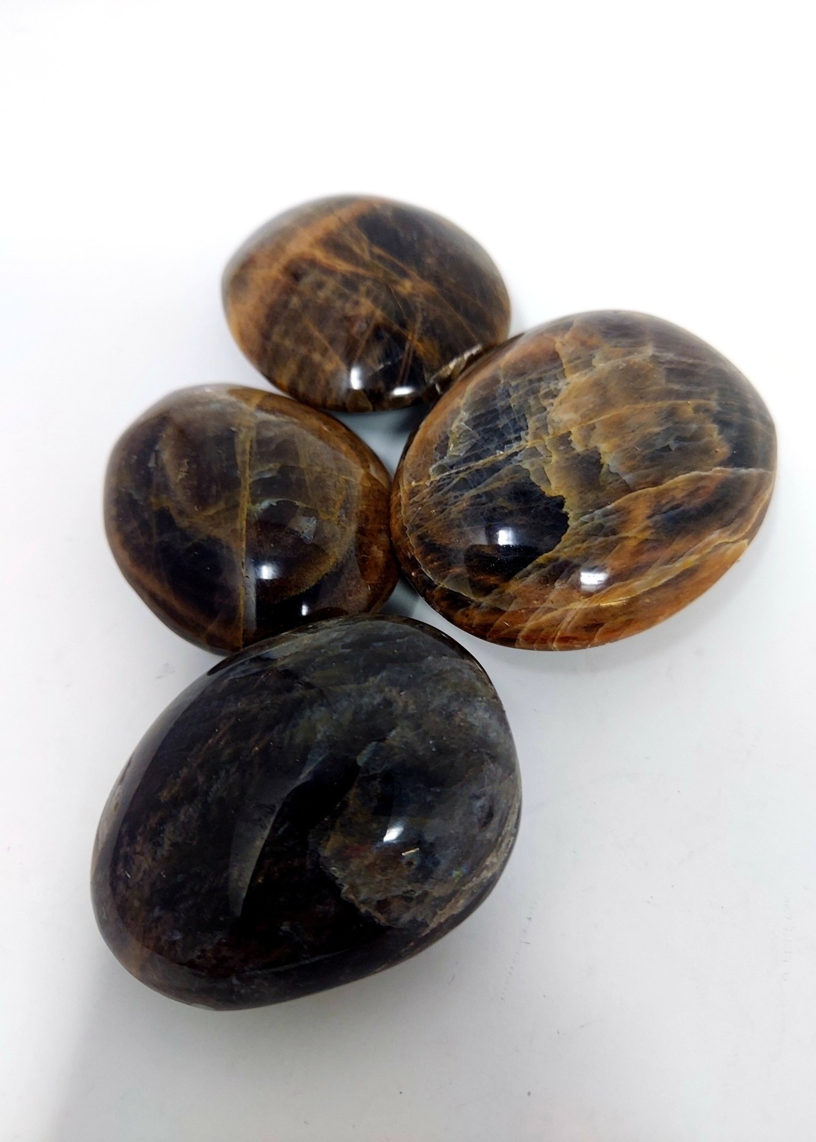 Polished Black Moonstone Palm Stone