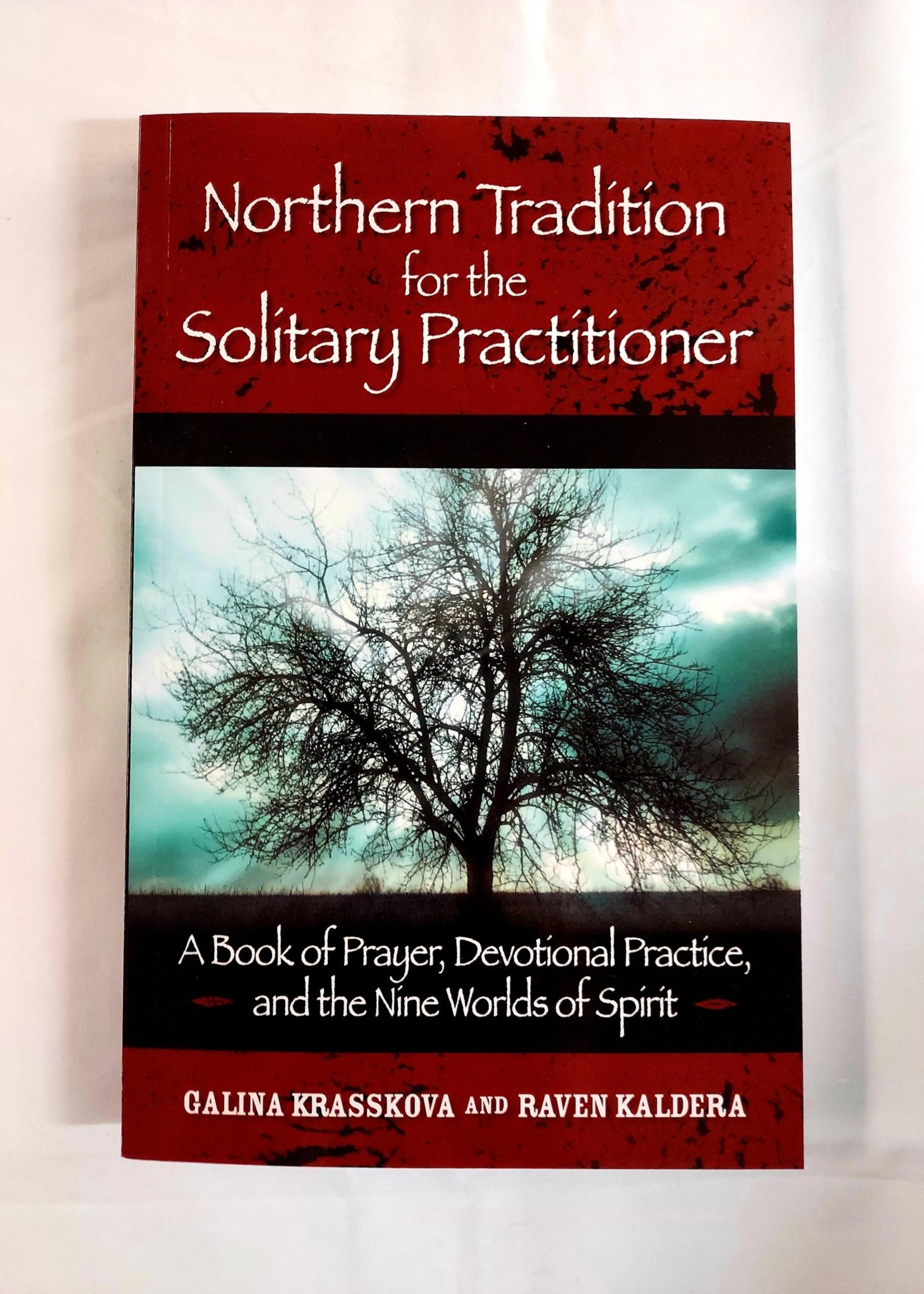 Northern Tradition for the Solitary Practitioner A Book of Prayer, Devotional Practice, and the Nine Worlds of Spirit - by