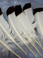 Faux Eagle Feather For Smudging