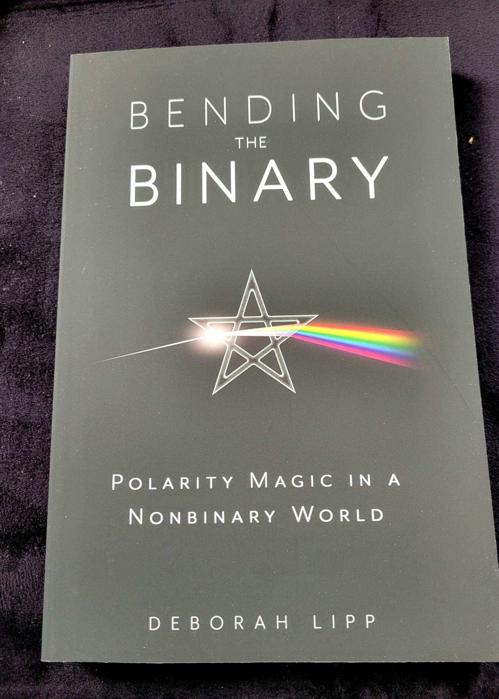 Bending The Binary - by Deborah Lipp