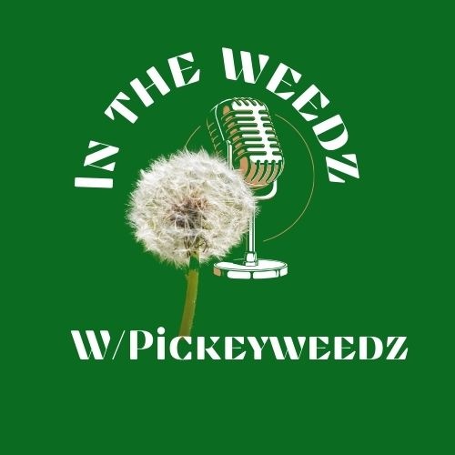 In the Weedz Podcast