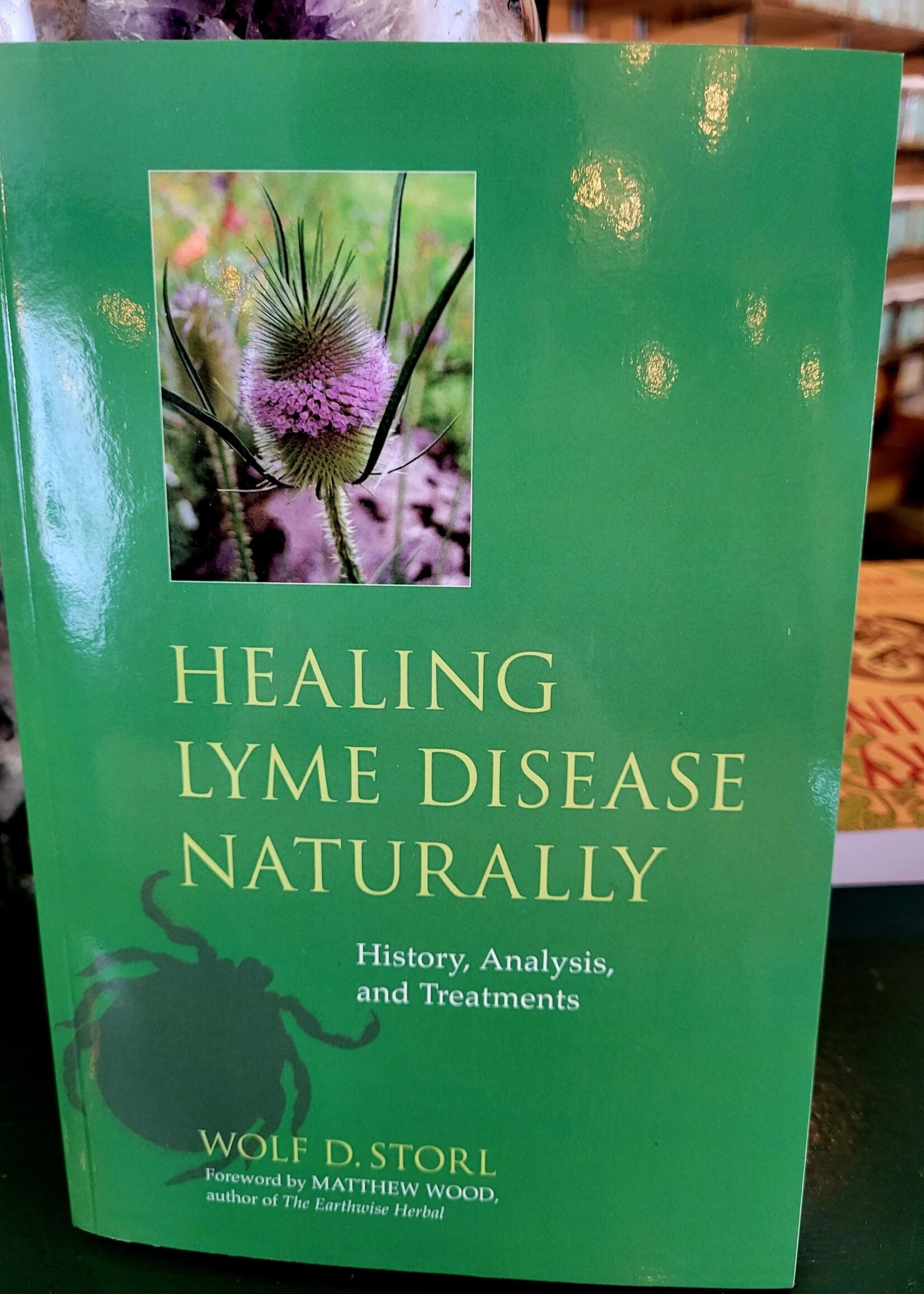Healing Lyme Disease Naturally By Wolf D. Storl Foreword by Matthew Wood and Andreas Thum, M.D.