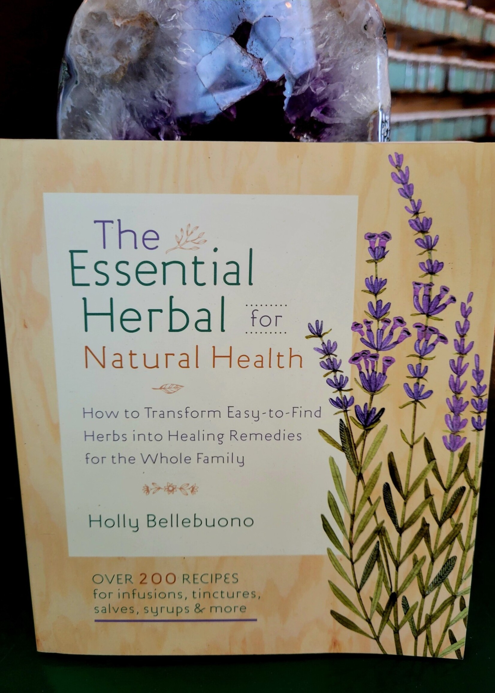 The Essential Herbal for Natural Health By Holly Bellebuono