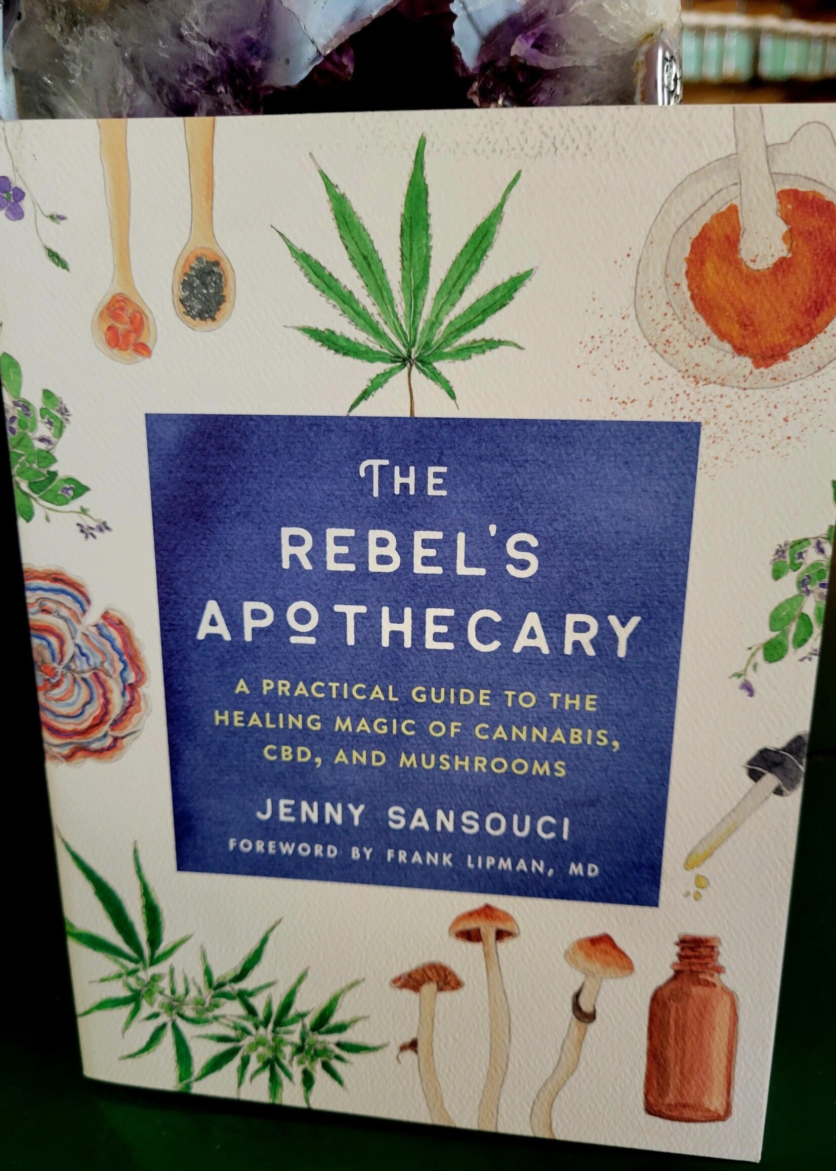 The Rebel's Apothecary By Jenny Sansouci Foreword by Frank Lipman
