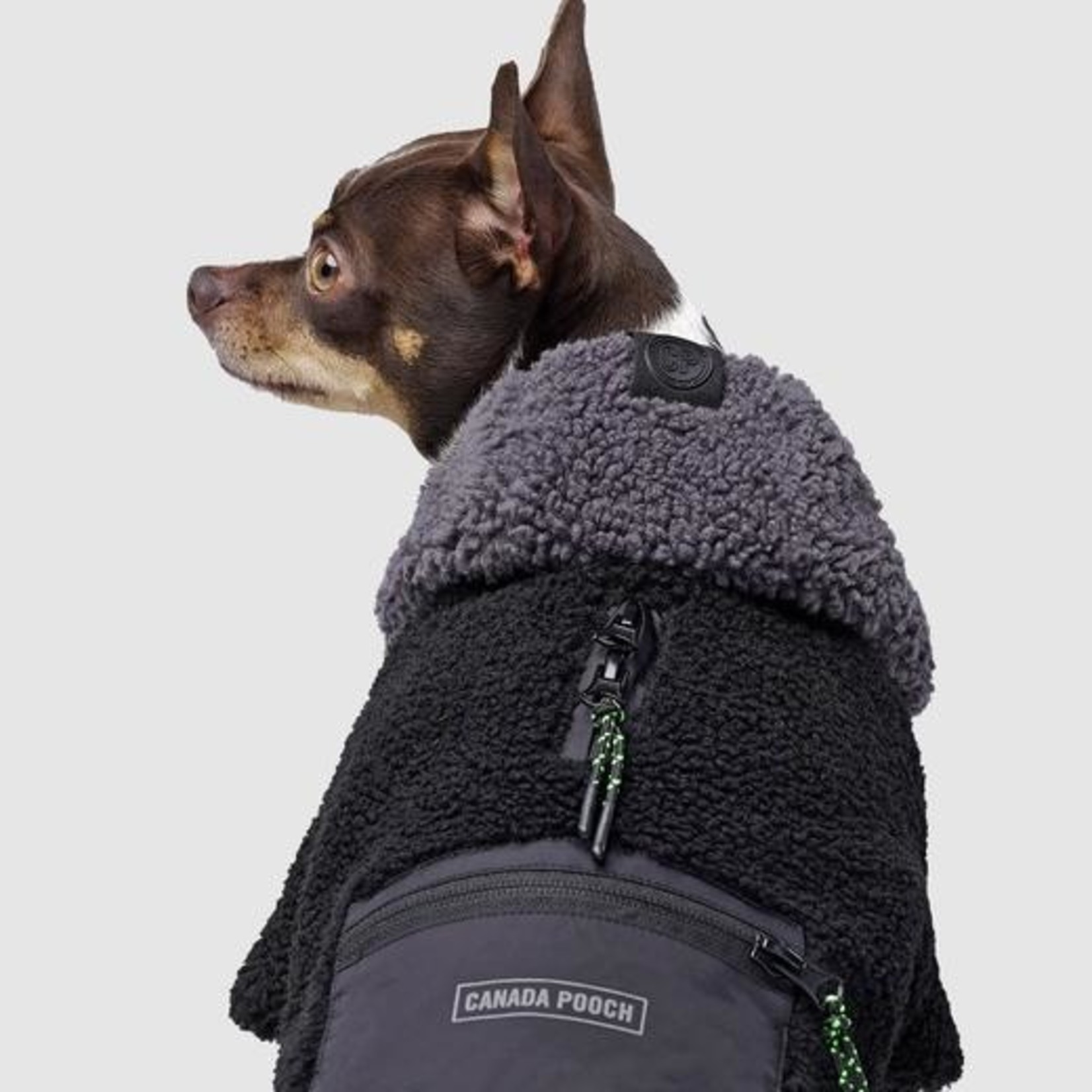 Canada Pooch Canada Pooch Black Cool Factor Hoodie Size 18