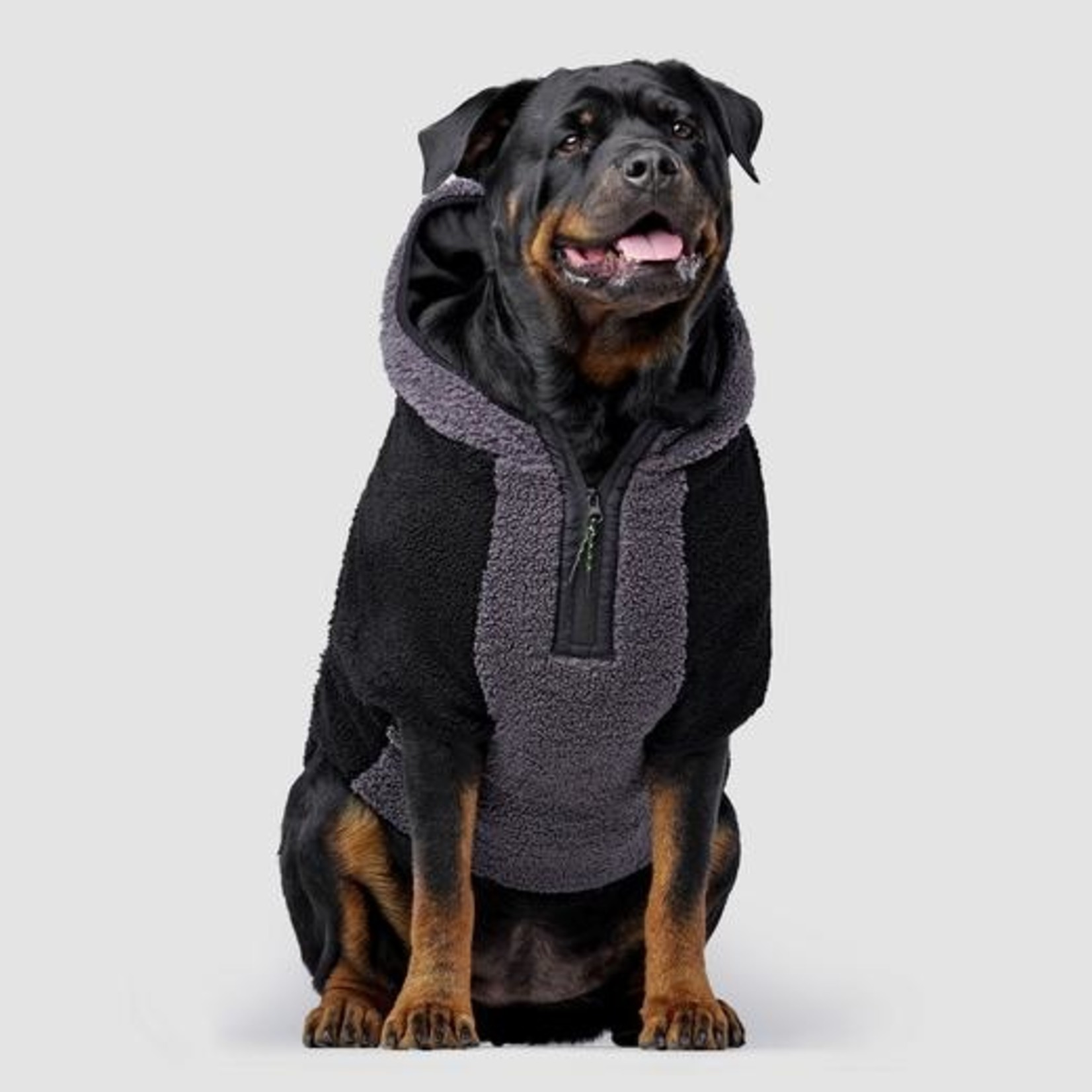 Canada Pooch Canada Pooch Black Cool Factor Hoodie Size 18