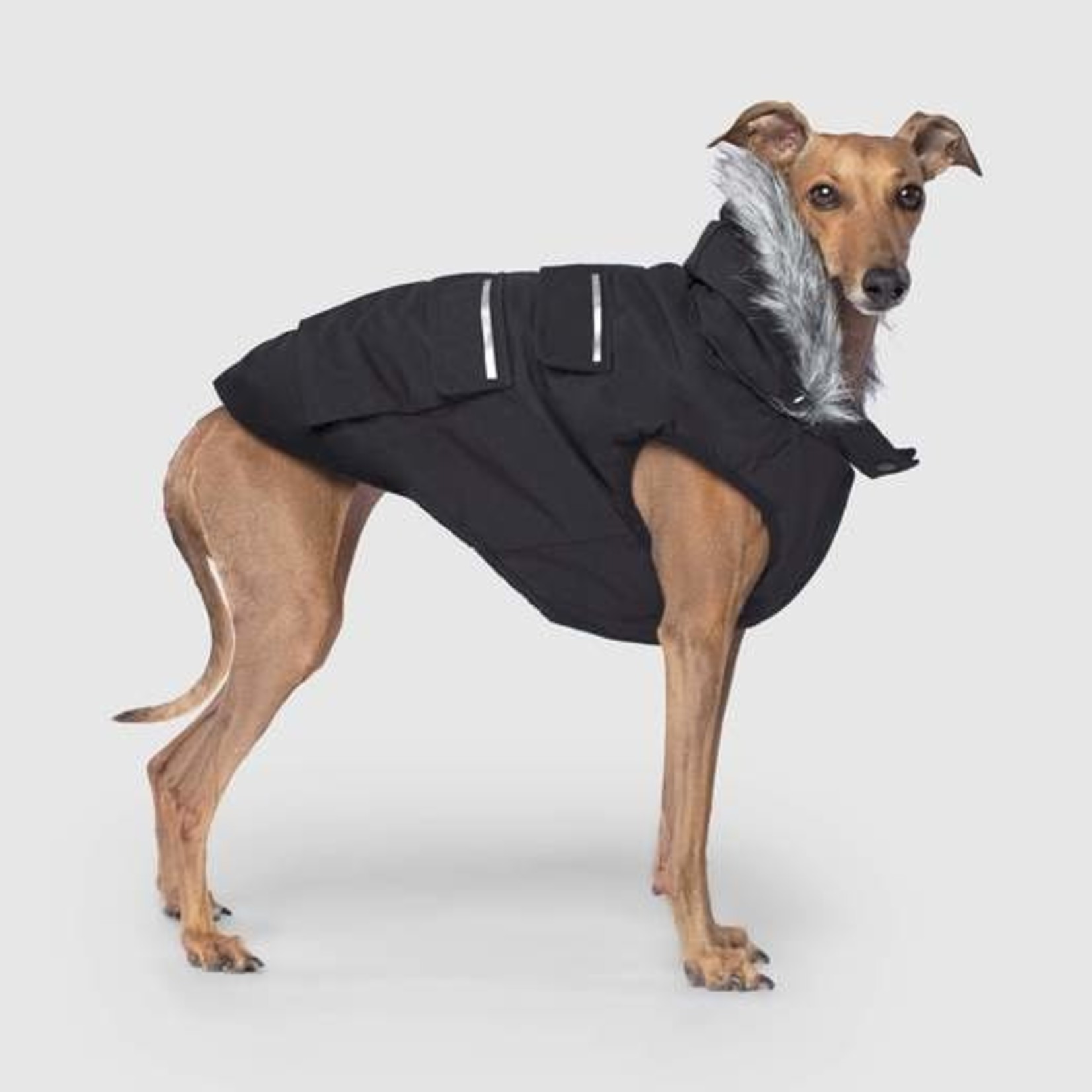 Canada Pooch Canada Pooch Black Everest Explorer Size 18