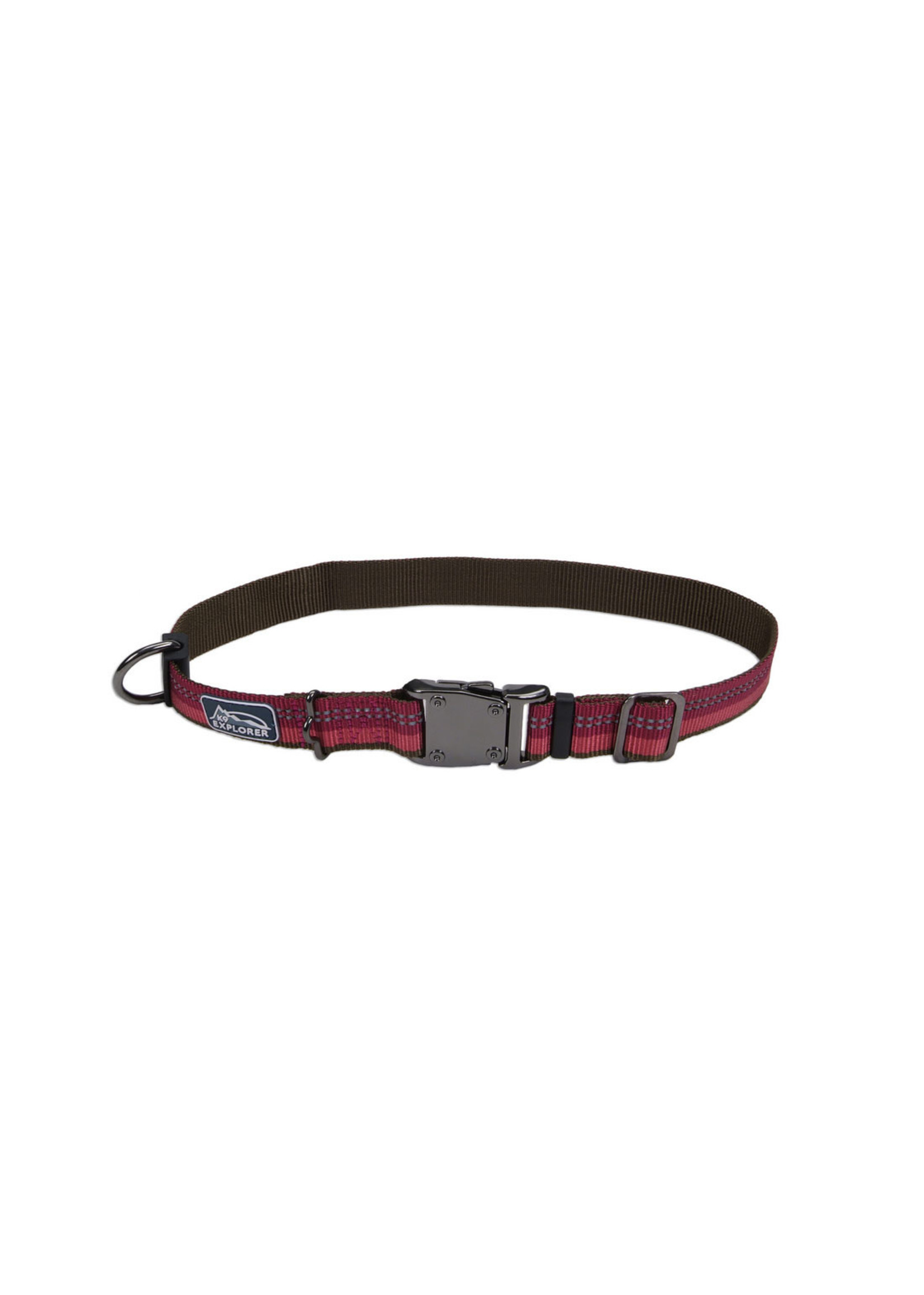 Coastal K9 Explorer® Reflective Adjustable Dog Collar, Berry, 1" x 12"-18" Small/Medium