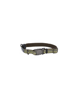 Coastal K9 Explorer® Reflective Adjustable Dog Collar, Fern, 5/8" x 08"-12" Extra Small