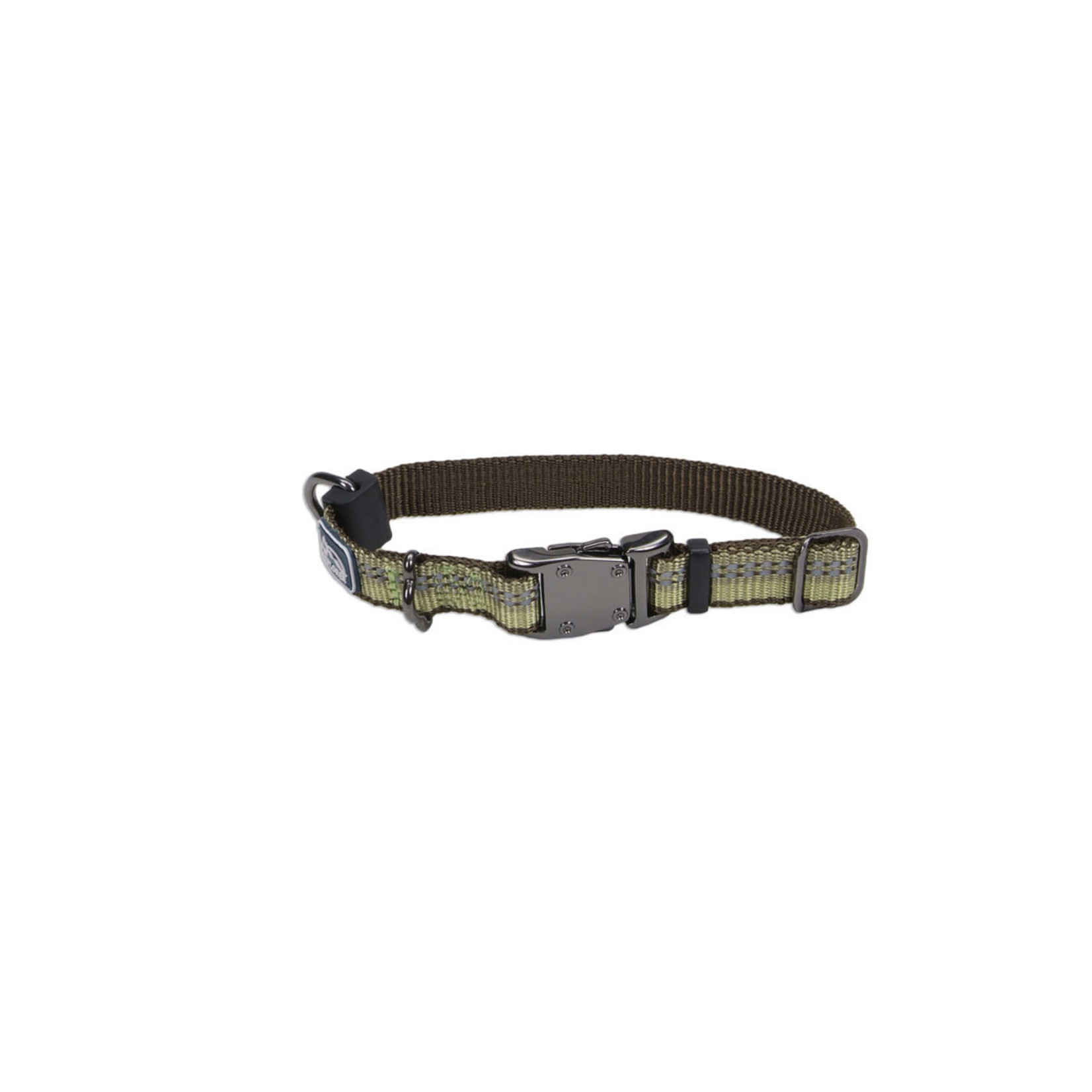 Coastal K9 Explorer® Reflective Adjustable Dog Collar, Fern, 5/8" x 08"-12" Extra Small