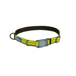 Coastal K9 Explorer® Reflective Adjustable Dog Collar, Goldenrod, 5/8" x 10"-14" Small