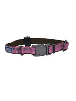 Coastal K9 Explorer® Reflective Adjustable Dog Collar, Rosebud, 5/8" x 08"-12" Extra Small
