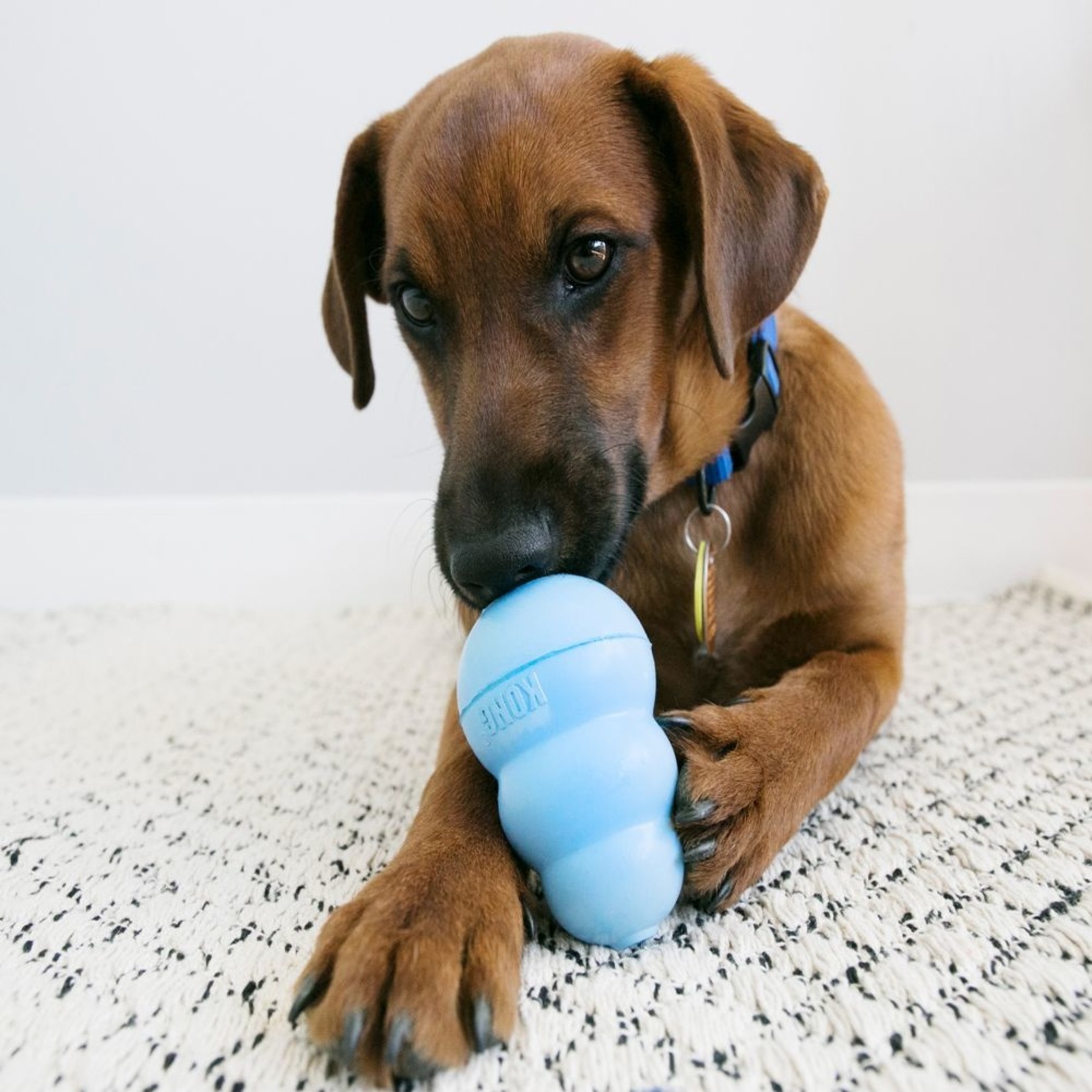 Kong Kong Puppy Medium