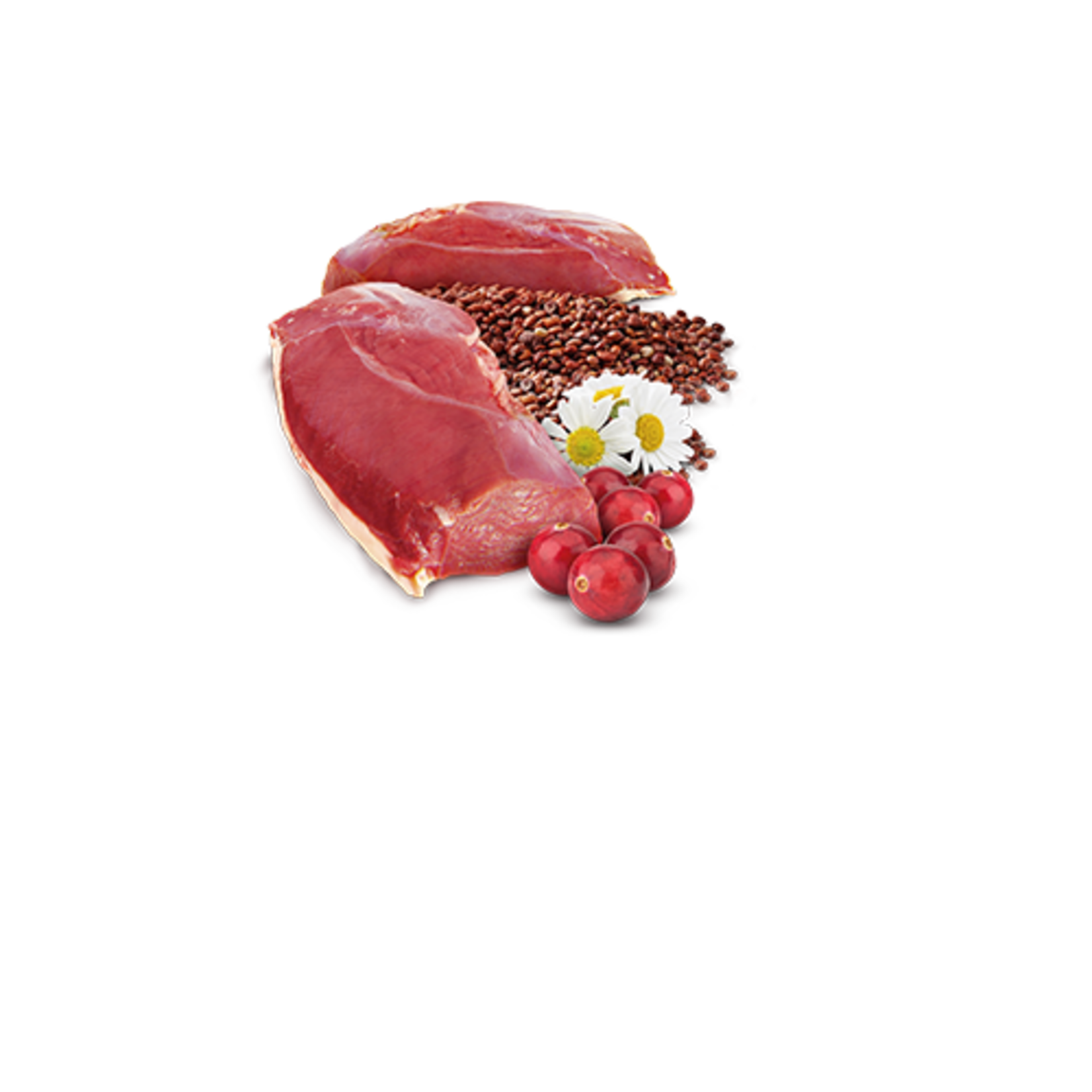 N & D Farmina N&D Farmina Cat Quinoa Urinary - Duck 2.8oz (case 24)