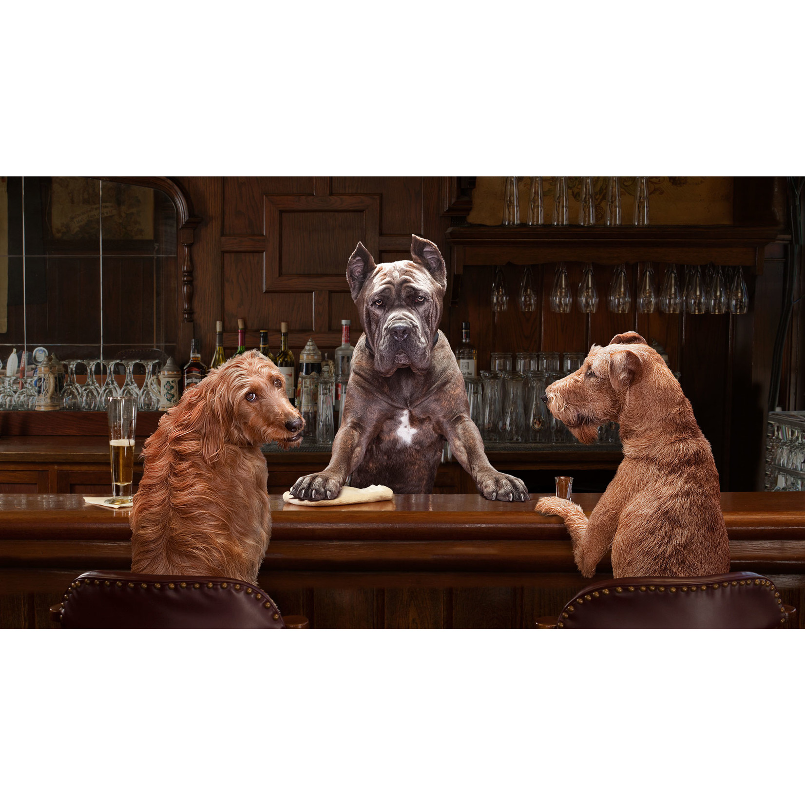 Fromm Fromm Dog Gold Large Breed Adult 30lbs