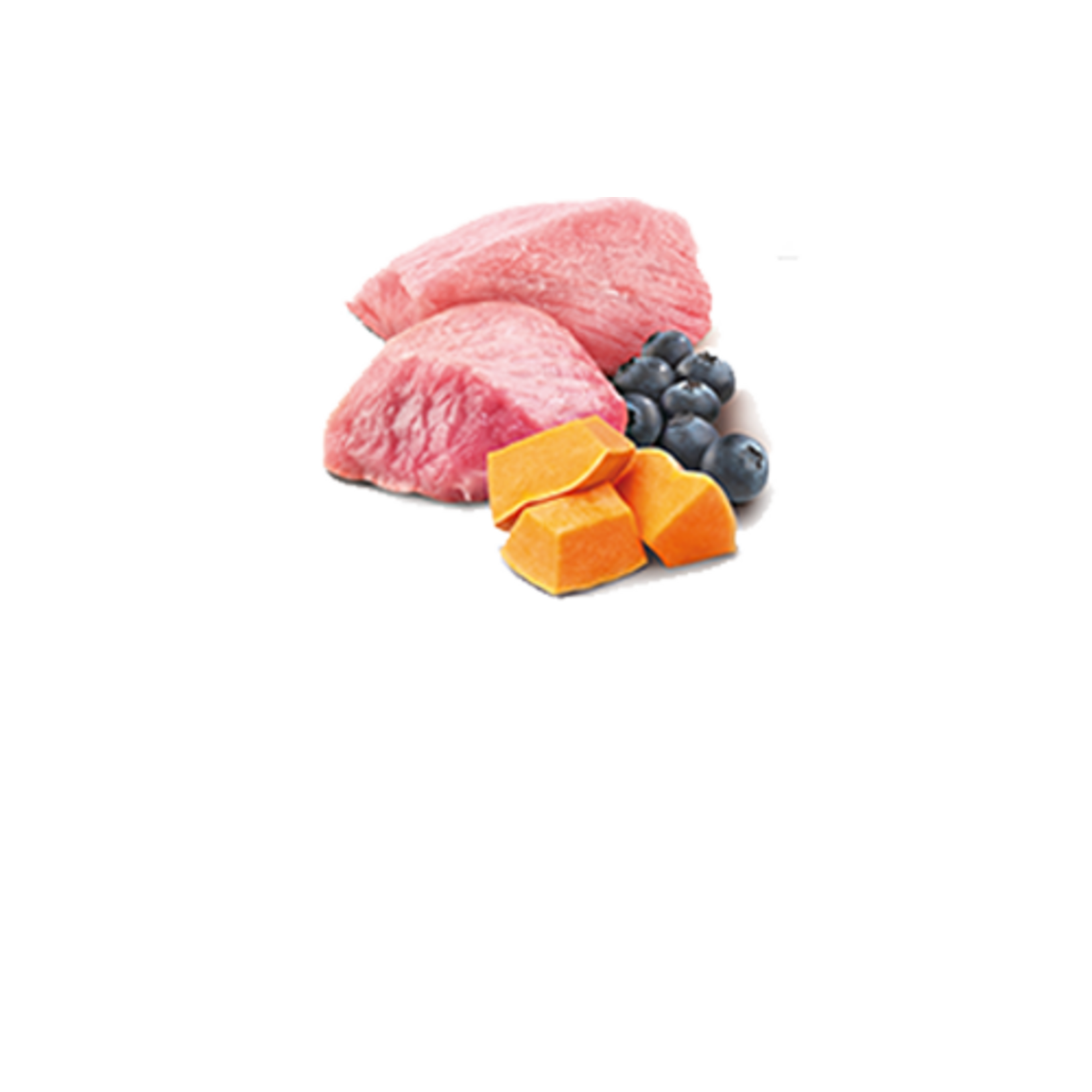 N & D Farmina N&D Farmina Puppy Pumpkin - Lamb & Blueberry 10oz (case 6)