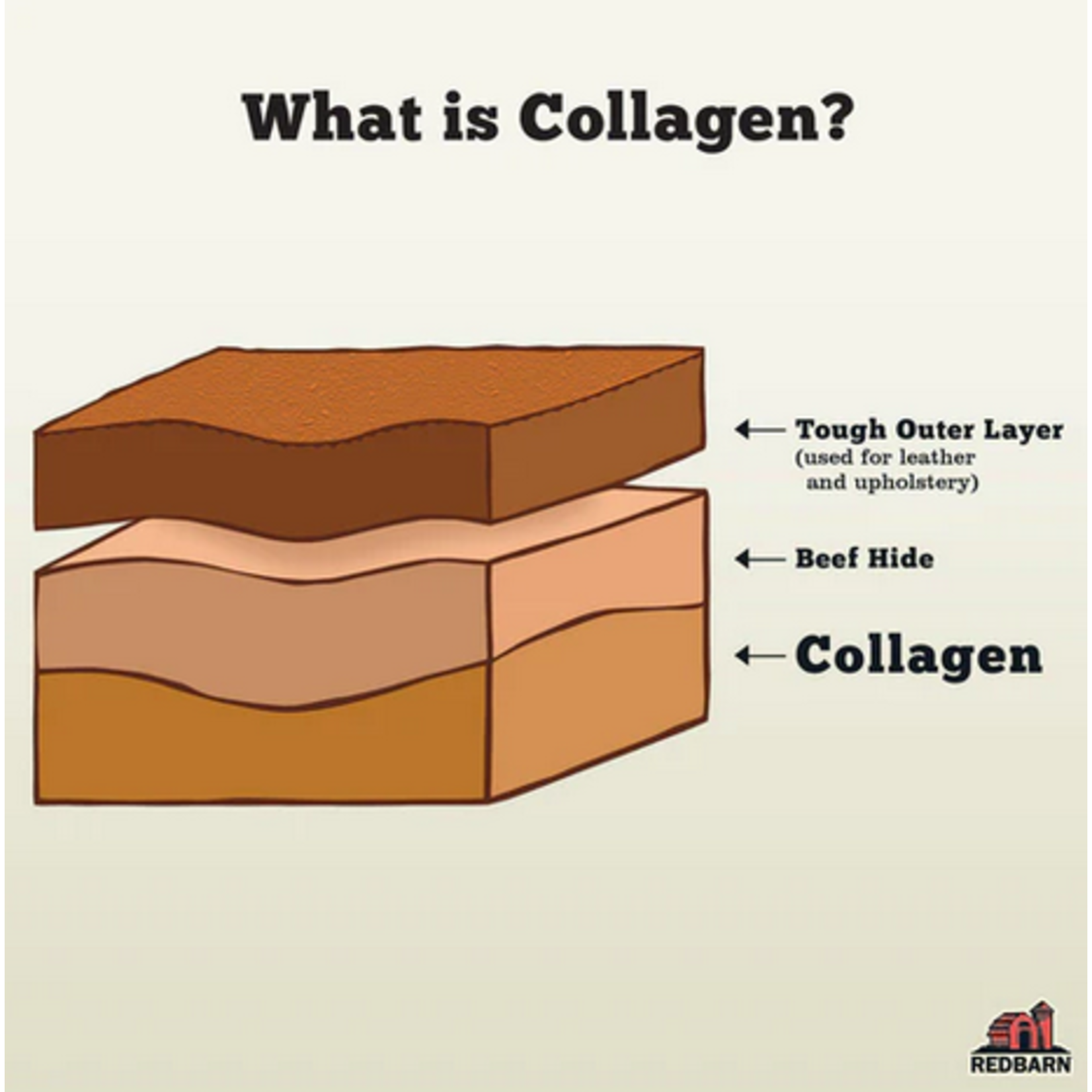 Red Barn Red Barn Collagen Large 12" (35 per case)