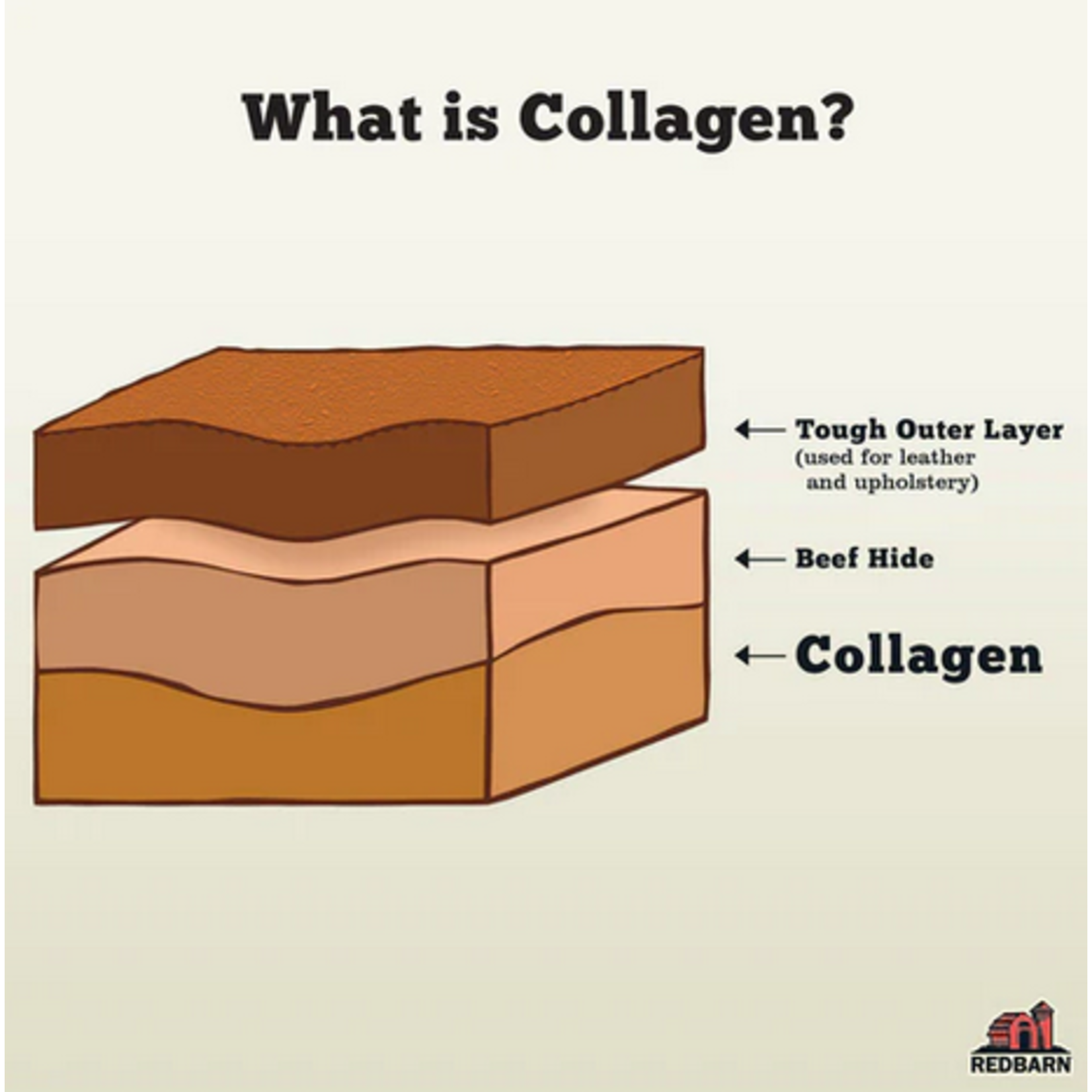 Red Barn Red Barn Collagen Large 12"