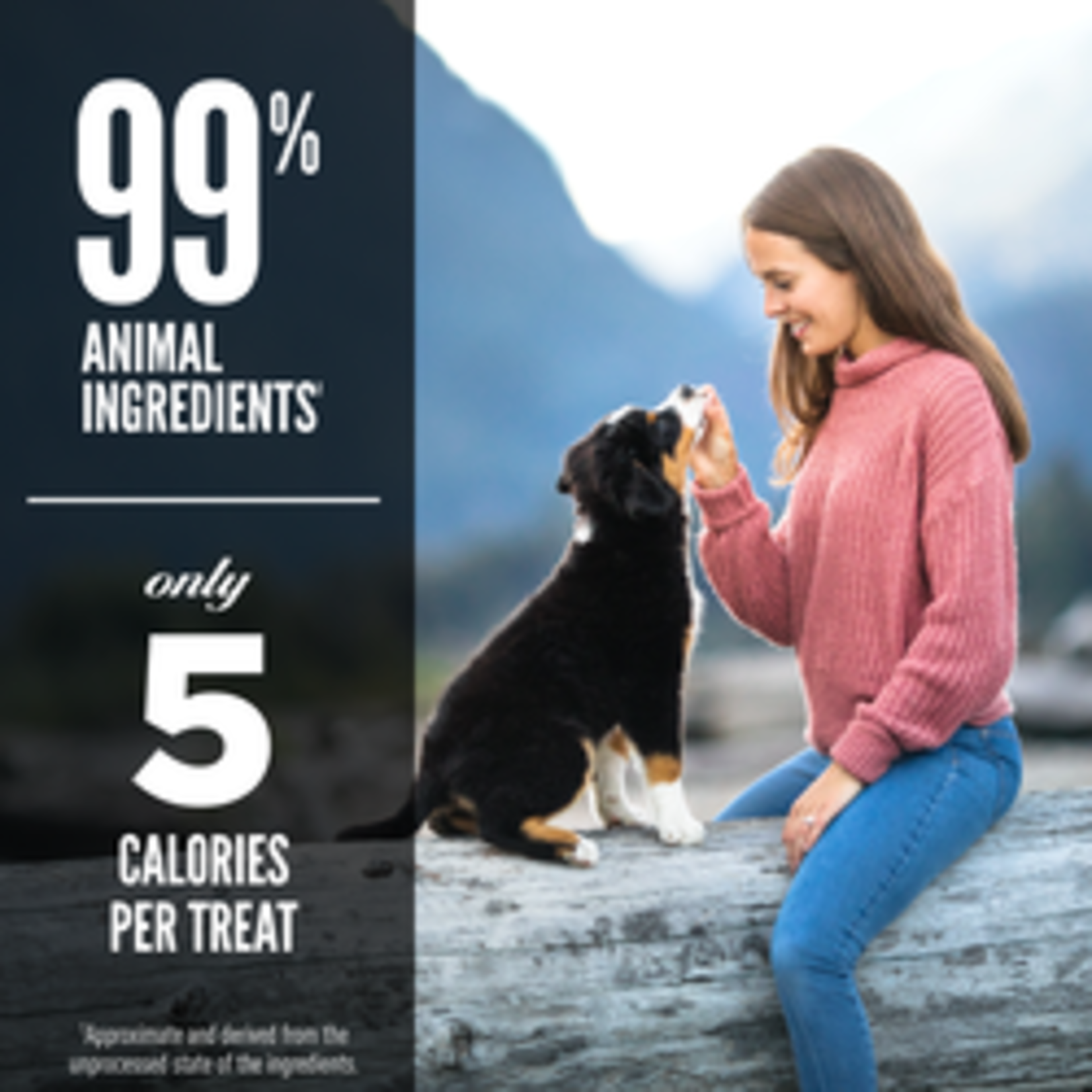 Orijen Orijen Dog Treats Beef Freeze Dried 3.25oz