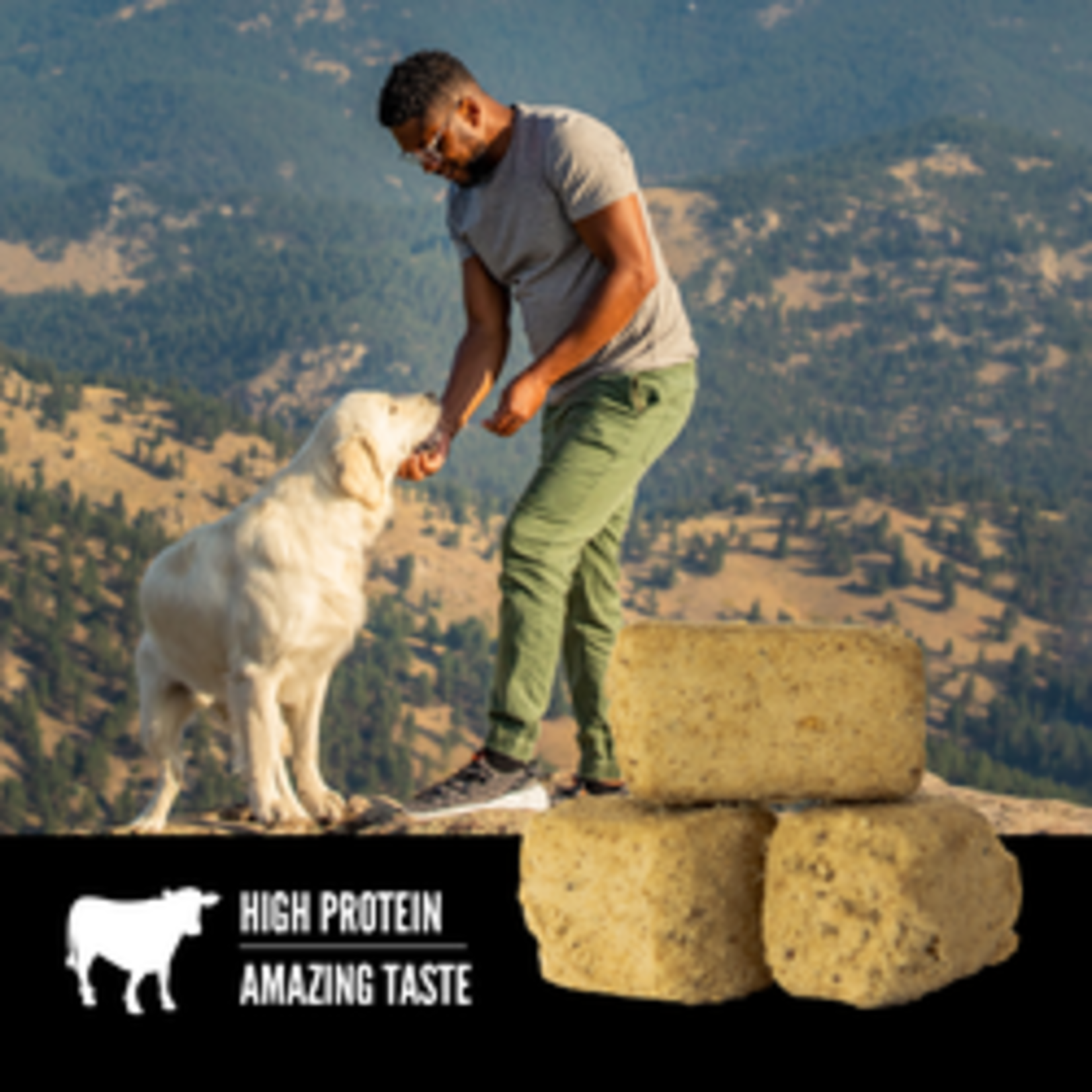 Orijen Orijen Dog Treats Beef Freeze Dried 3.25oz