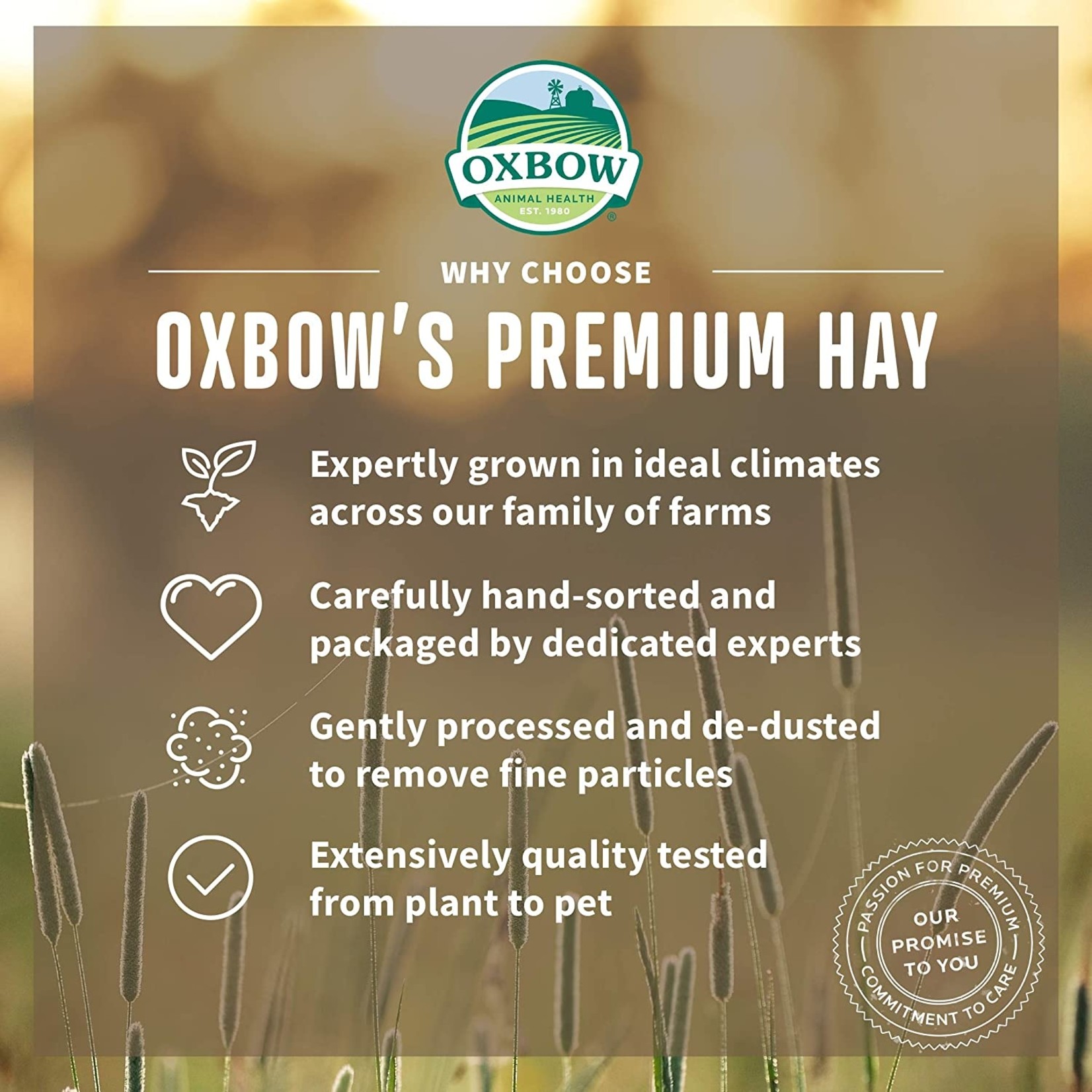 OXBOW Oxbow Western Timothy Hay, 15oz