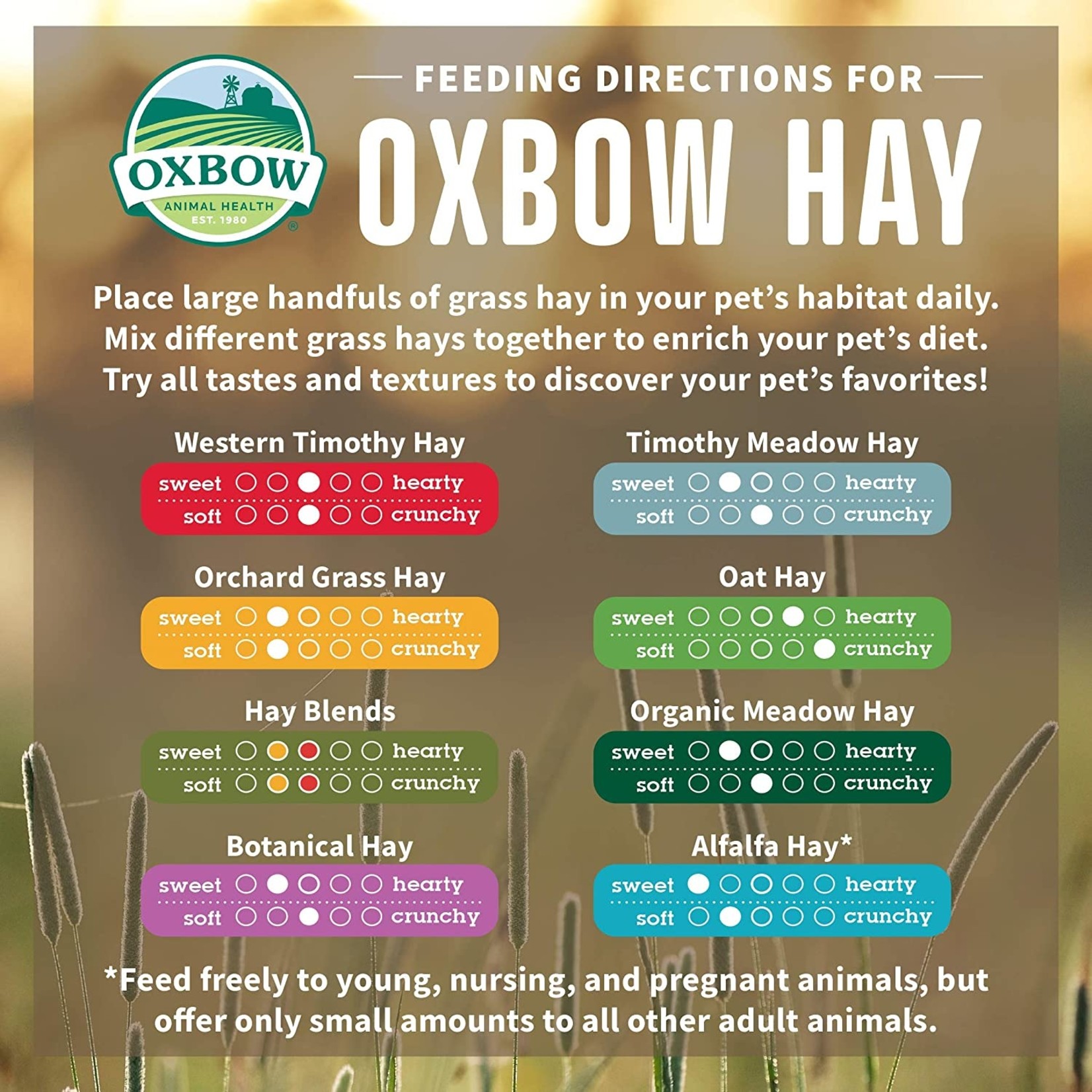 OXBOW Oxbow Western Timothy Hay, 15oz