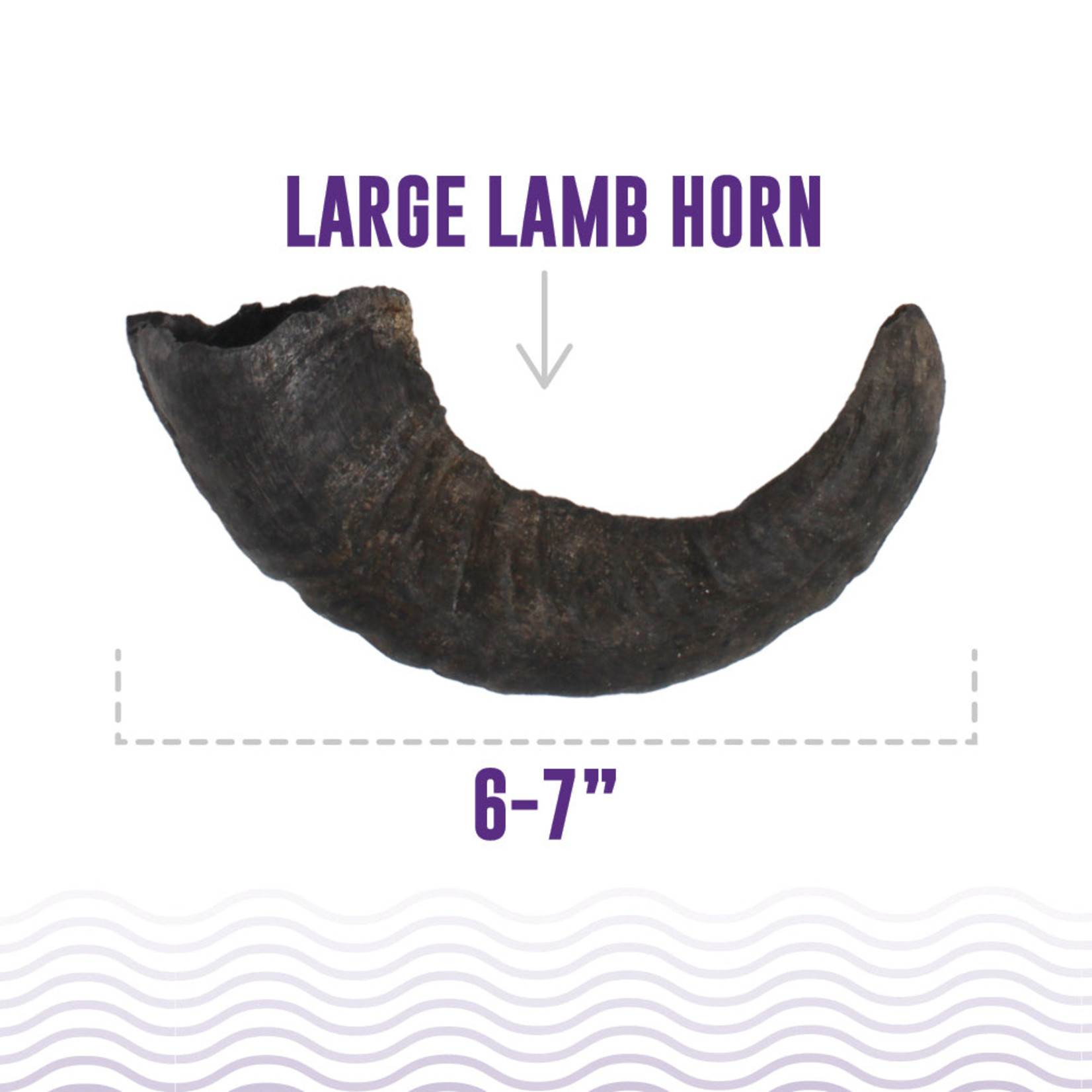 Icelandic Icelandic+ Dog Lamb Horn Large (case 24)