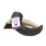 Icelandic Icelandic+ Dog Lamb Horn Large (case 24)