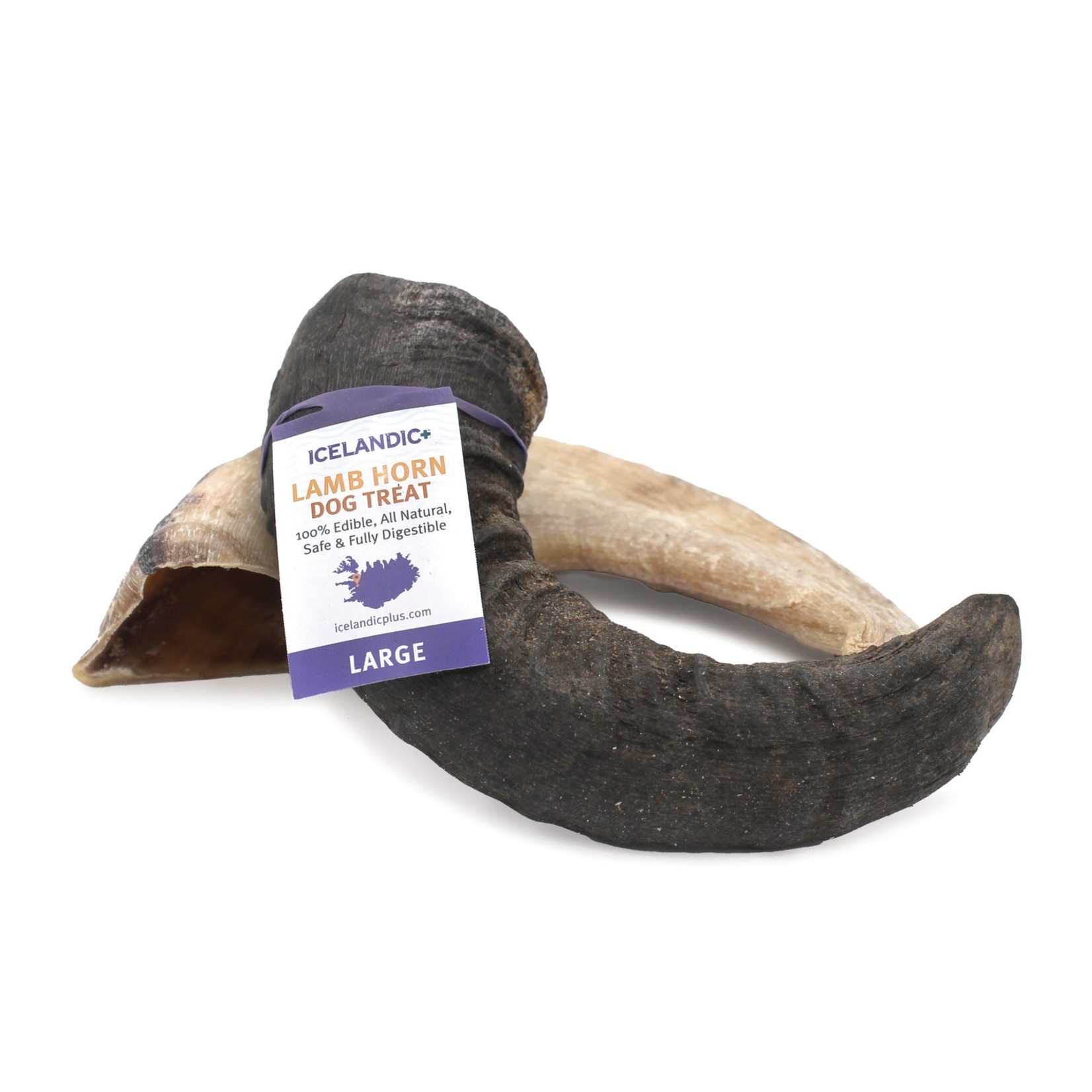 Icelandic Icelandic+ Dog Lamb Horn Large (case 24)
