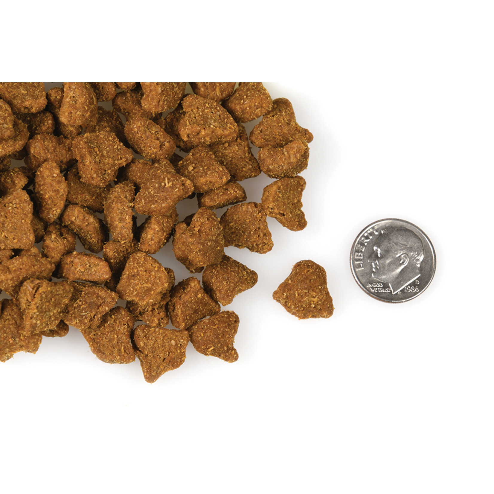 Fromm Fromm Dog 4-Star Zealambder 26lbs
