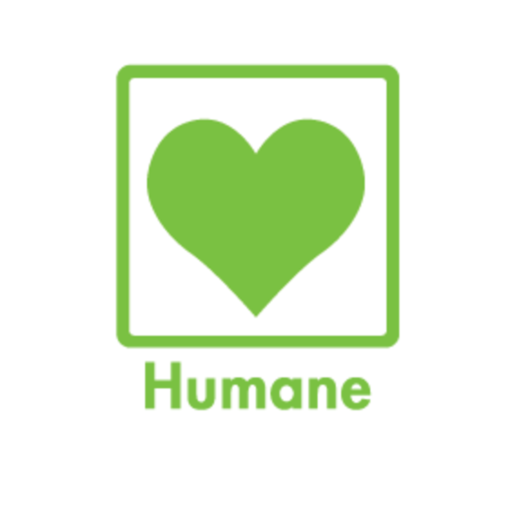 Small Batch Small Batch Dog Turkey Lightly Cooked 2lbs