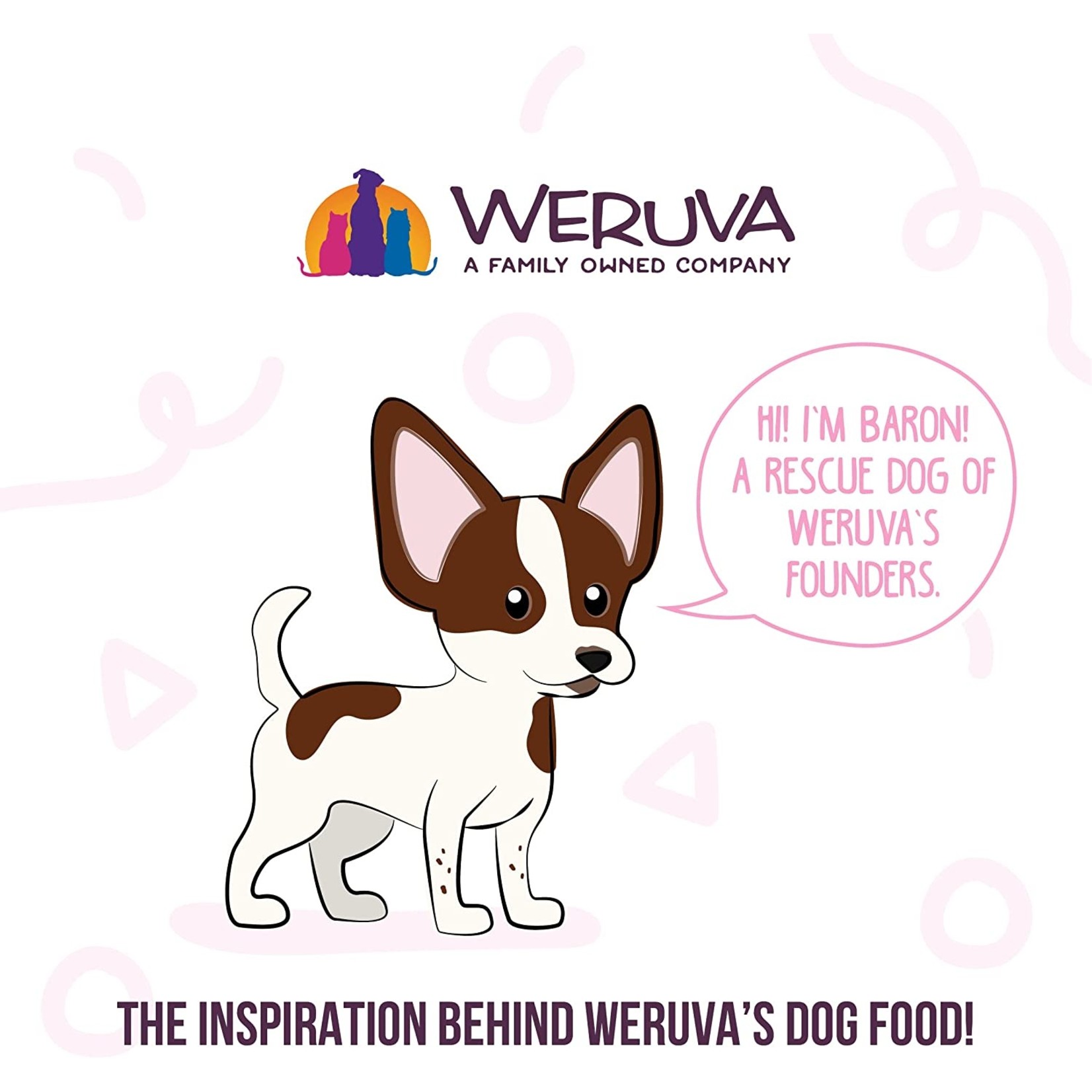 Weruva Weruva Meals’N'More Grandmas Chicken Soup 3.5oz (case 12)